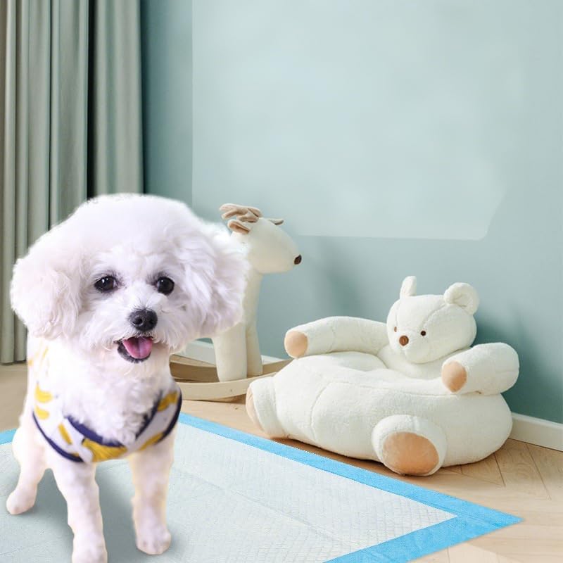 Absorbent Disposable Dog & Cat Training Pads - Large Washable Pet Supplies with Leak-Proof Design for Crate & Indoor Use (40 Count)