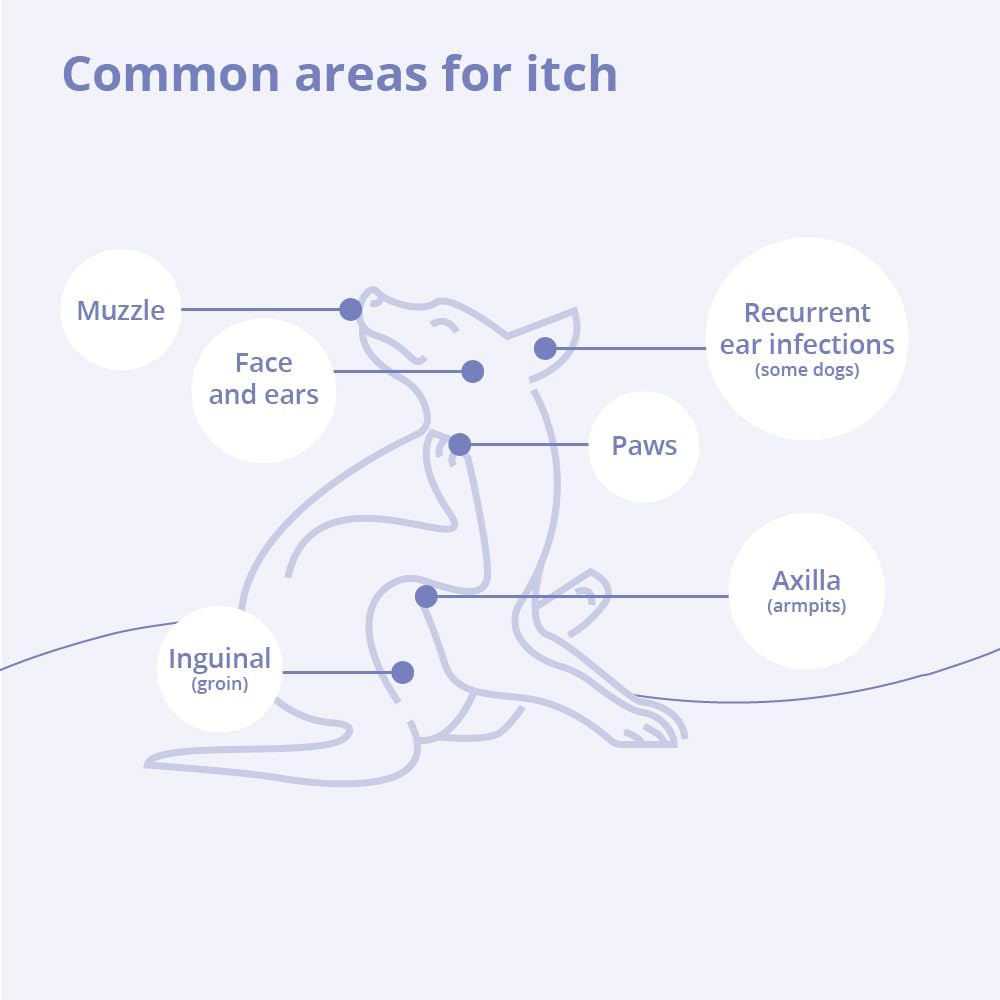 Plus TrizEDTA Spray Conditioner for Dogs and Cats, 8 oz