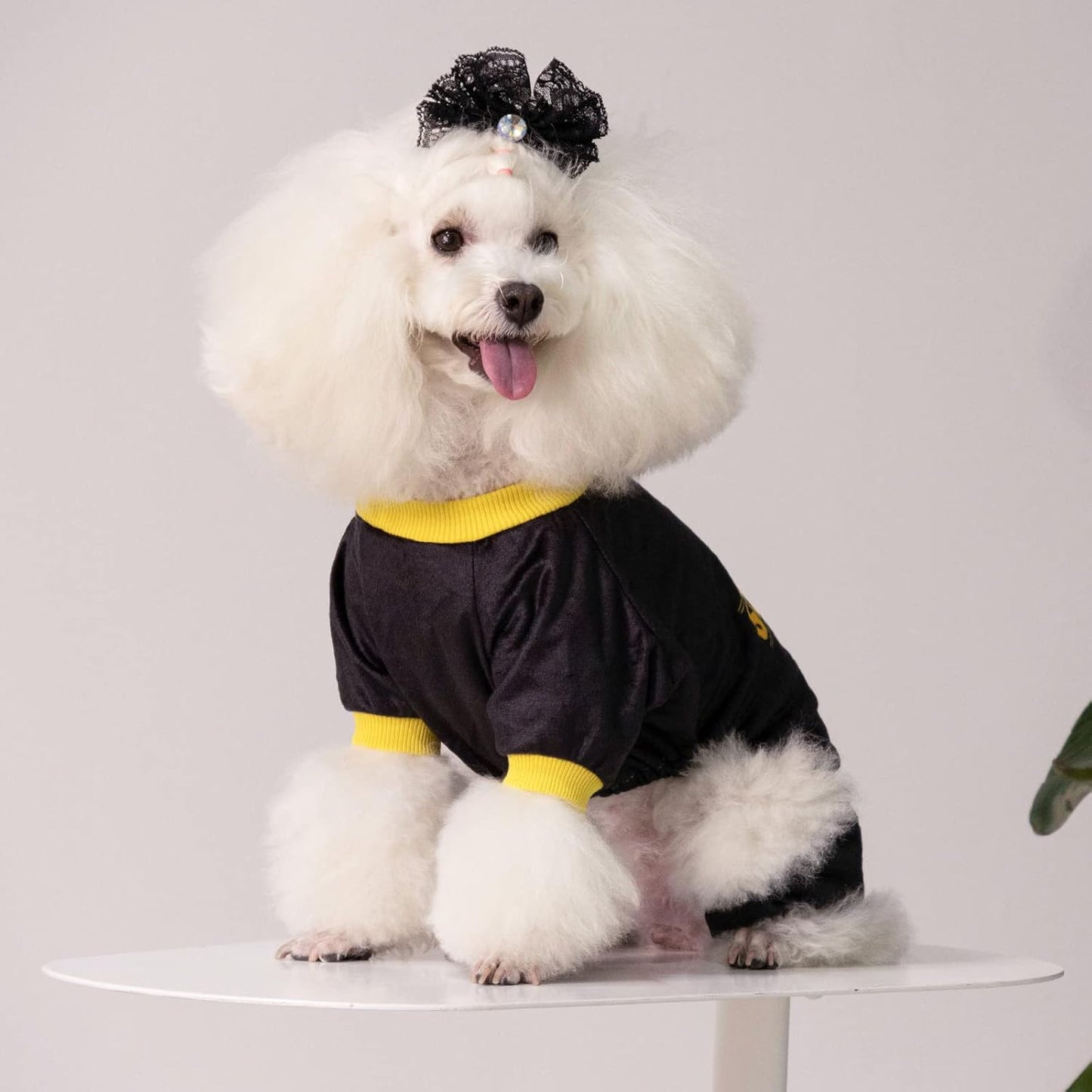 CuteBone Dog Halloween Pajamas Puppy Onesies Small Dogs Soft Pjs Coat Cat Apparel Comfy Pet Christmas Clothes Outfit Doggie Bodysuit P264S