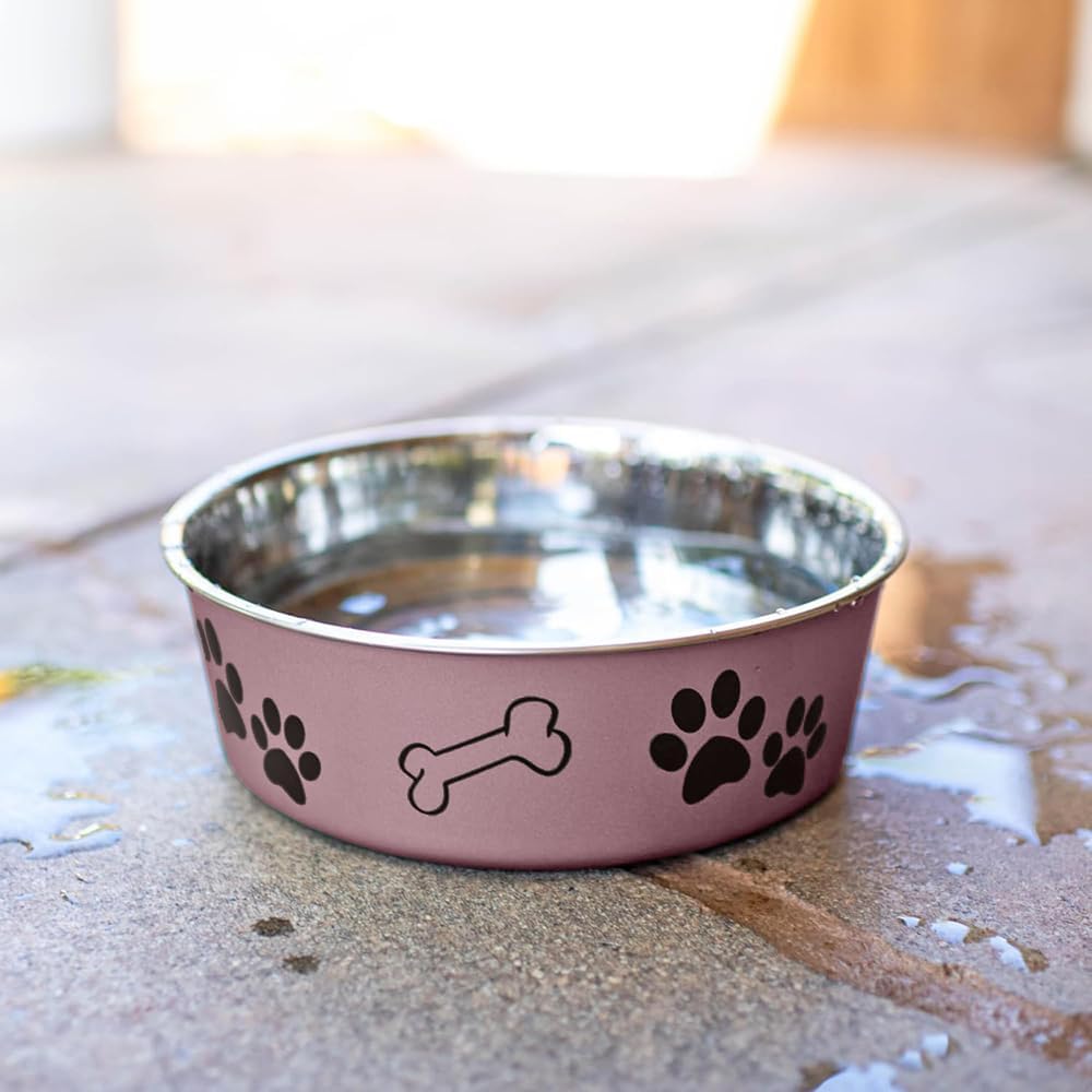 Loving Pets Bella Dog Bowls- Stainless Steel Dog & Cat Bowls - Spill Proof Dog Food Bowl, Cat Bowl, Puppy Essentials & Pet Supplies Great for Home & Travel (Medium 20-25 lbs, Grape)