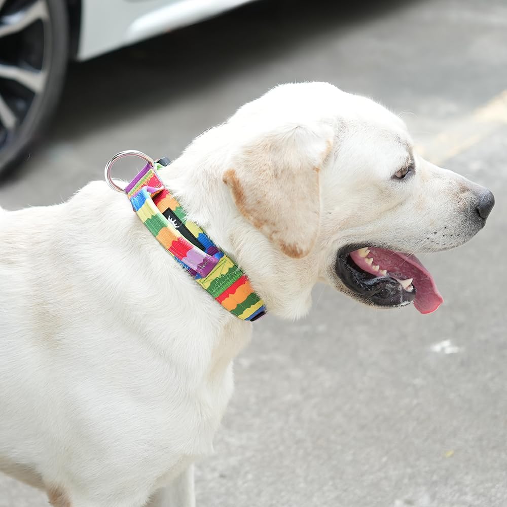 TSPRO Premium Dog Collars Tactical Dog Collar with Handle and Heavy Duty Quick-Release Metal Buckle Durable Thick and Adjustable for Medium to Large Dogs (Gradient Multi-Colored M)