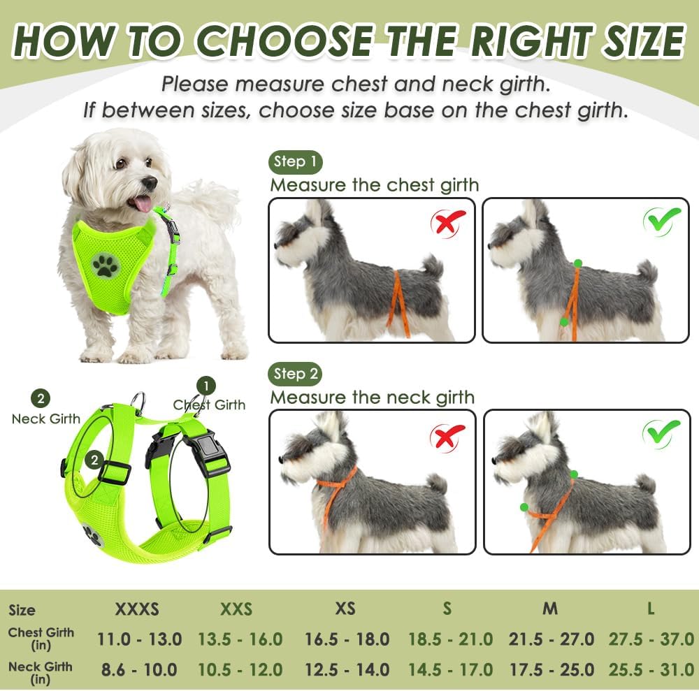 SlowTon Dog Seat Belt Harness for Car, Dog Car Harness Adjustable Mesh Breathable & Dog Seatbelt Safety Tether with Elastic Bungee for Small Medium Large Pets(Lime, Double Clip, XXS)