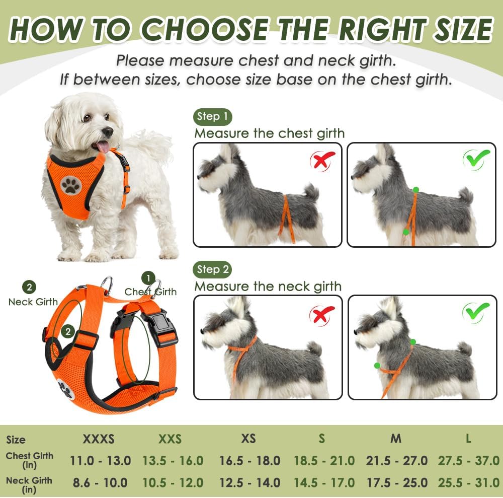 SlowTon Dog Seat Belt Harness for Car, Dog Car Harness Adjustable Mesh Breathable & Dog Seatbelt Safety Tether with Elastic Bungee for Small Medium Large Pets(Orange, Double Clip, S)