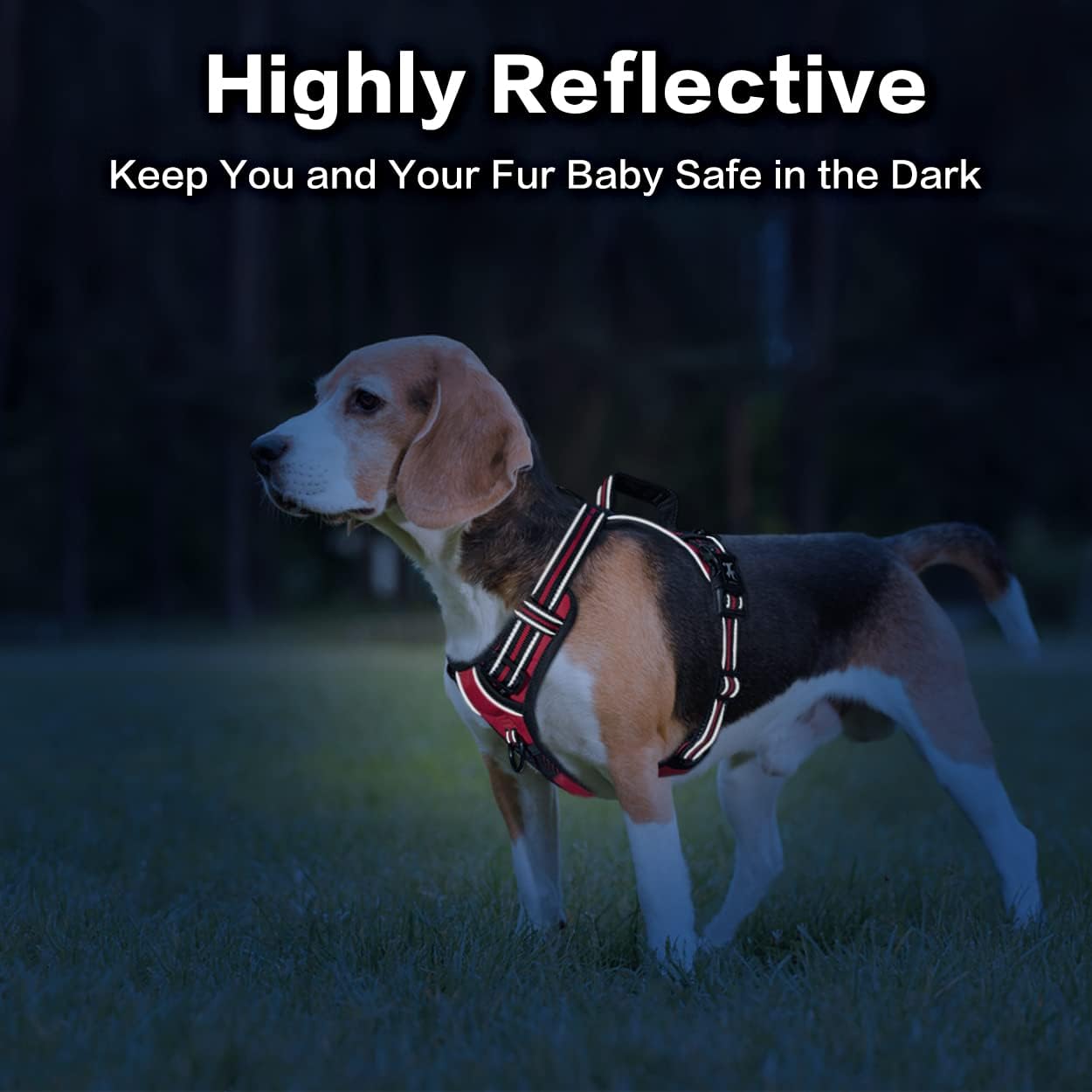 PoyPet No Pull Dog Harness, No Choke Front Clip Reflective Dog Vest with Soft Padded Vertical Handle, 3 Leash Attachments for Small Medium Large Dogs (Red,M)