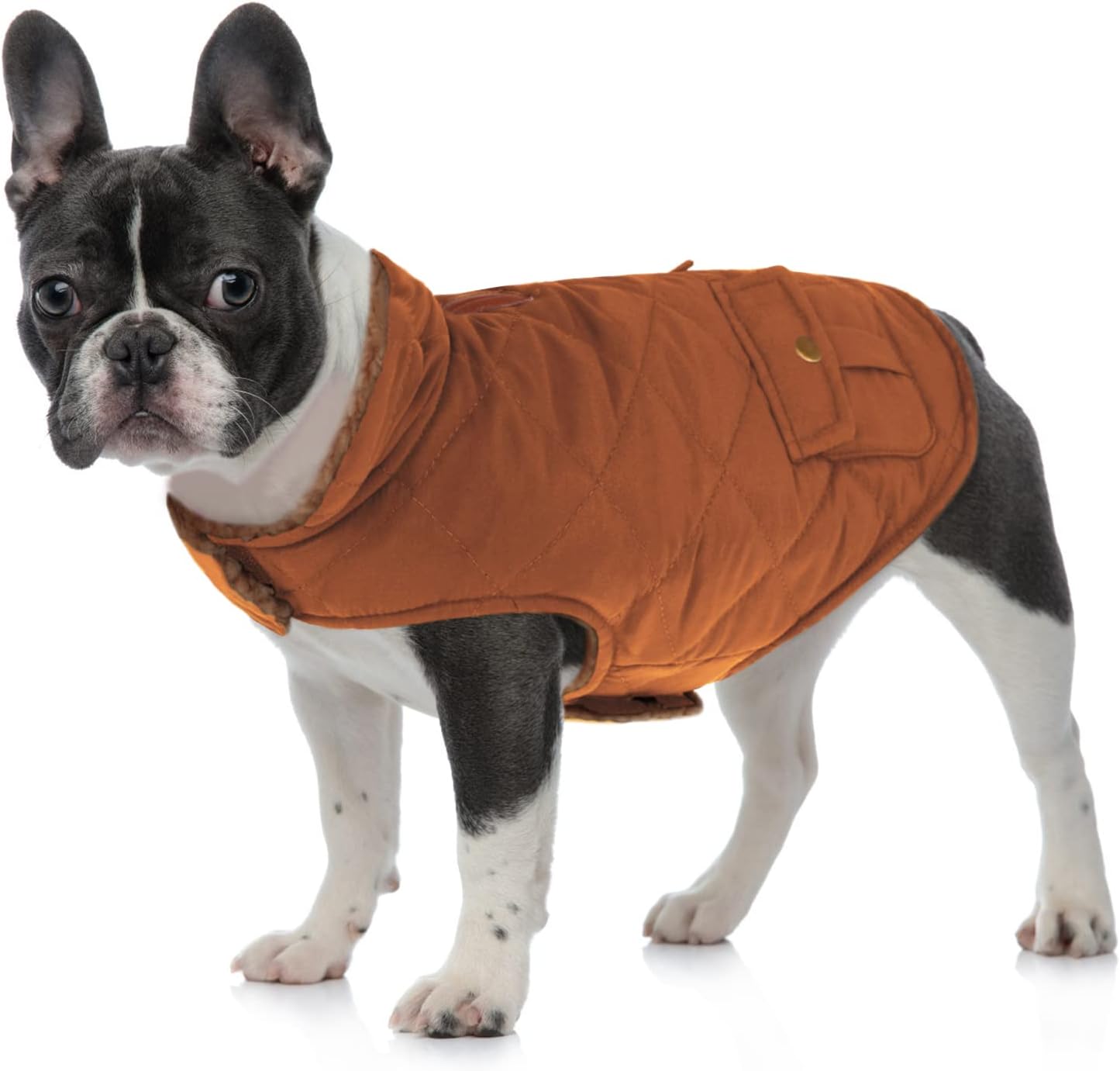 Queenmore Warm Dog Coat, Cold Weather Puffer Jacket with Ultra Thick Plush Lining and Storage Pockets (Brown, Large)