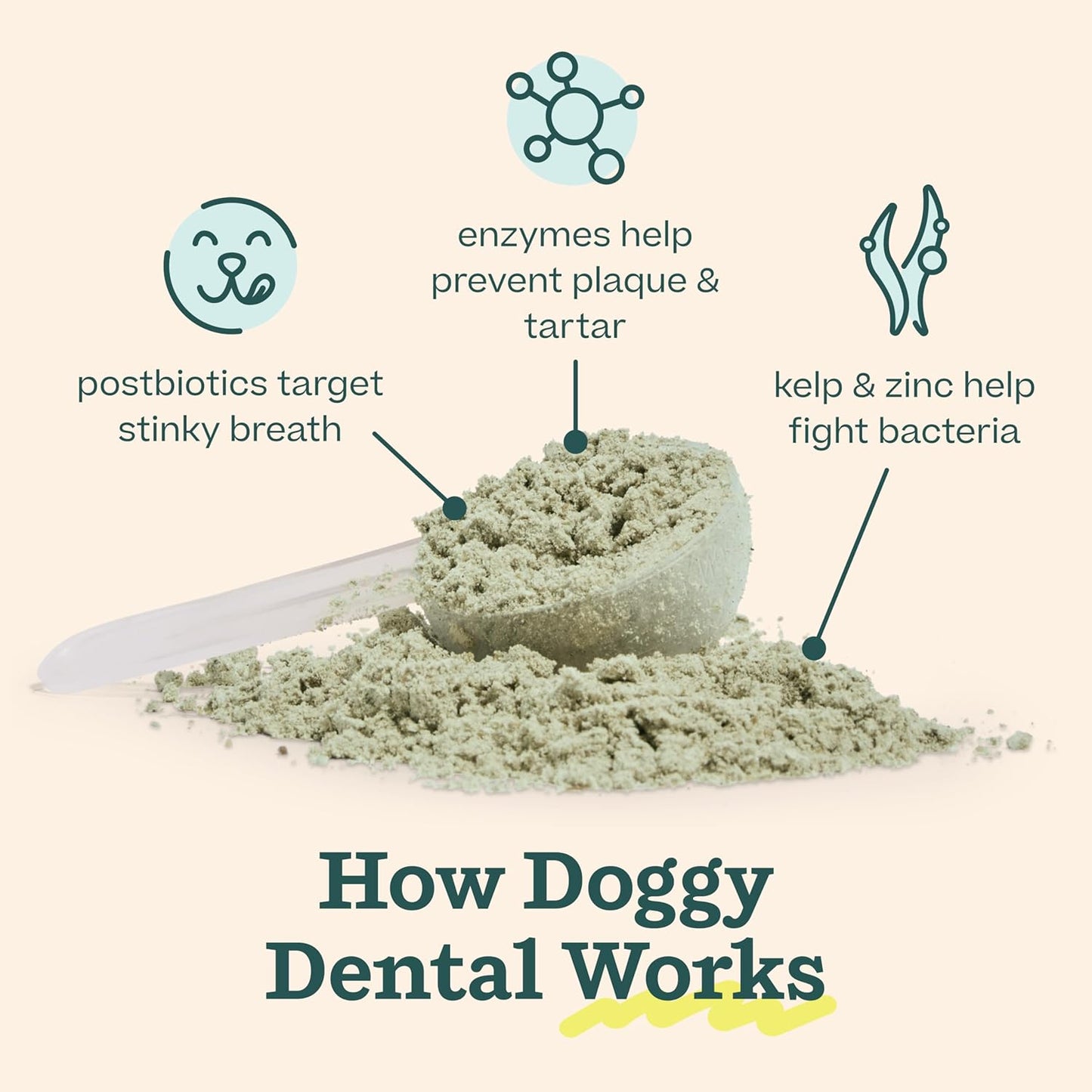 WOOF Dental Kit- Includes Pupsicle Dog Toy, Treat Tray, Shaker Bottle, Chicken Pupsicle Pops, and Dog Teeth Cleaning Powder - Supports Oral Health for Dogs - XL