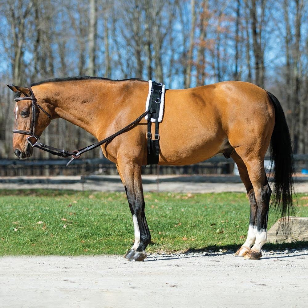 Dura-Tech Fleece Lined Training Surcingle for Horses | Essential for Lunging Work | Comfortable Fleece Lining | Durable Poly Material | Versatile D-Ring Placement | Suitable for All Training Levels