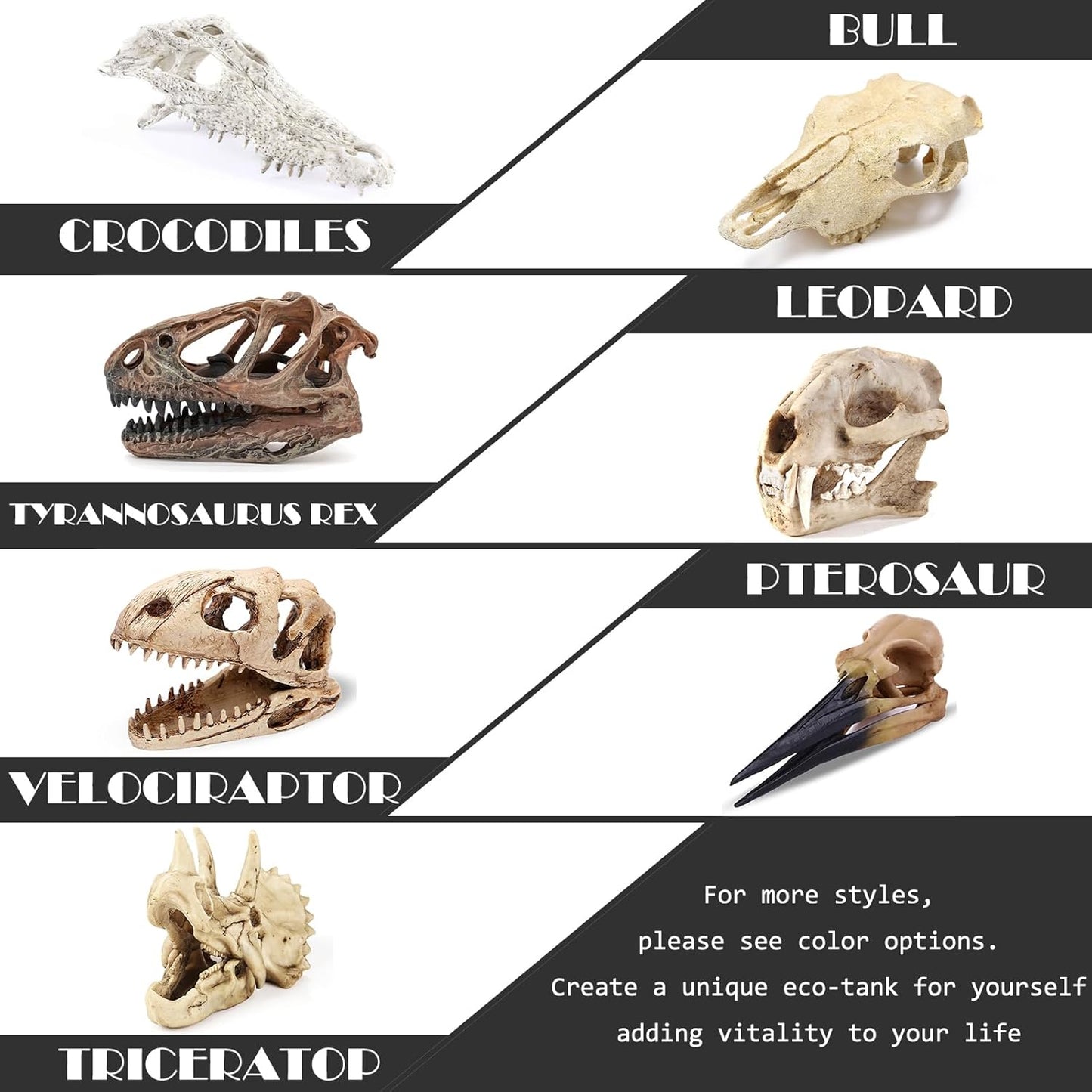 Aquarium Skull Décor Fish Hideout Cave Decorations Betta Tarantula Reptile Snake for Terrarium Ornament Dinosaur Animal Large Bones Halloween