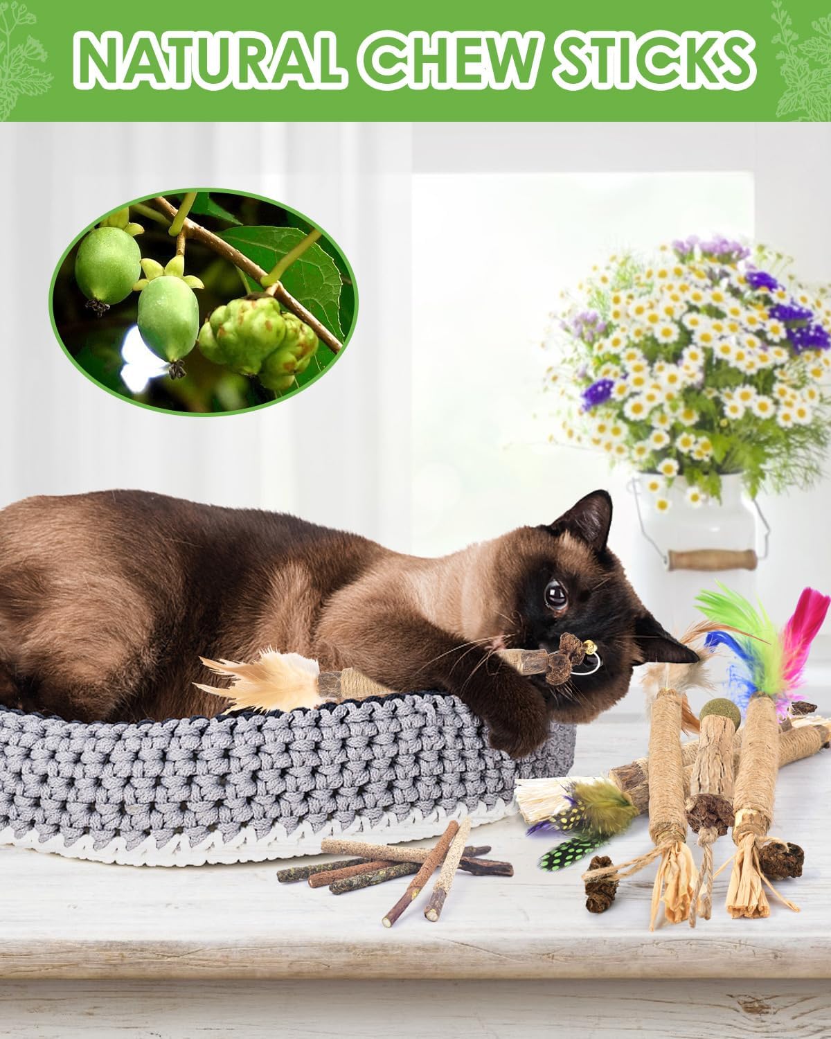 TINDTOP Silvervine Chew Sticks for Cats, 12 Pack Natural Catnip Chew Toys for Kittens Teeth Cleaning, Matatabi Dental Care, Increase Appetite, Calm Cat Anxiety and Stress, Cat Dental Toy