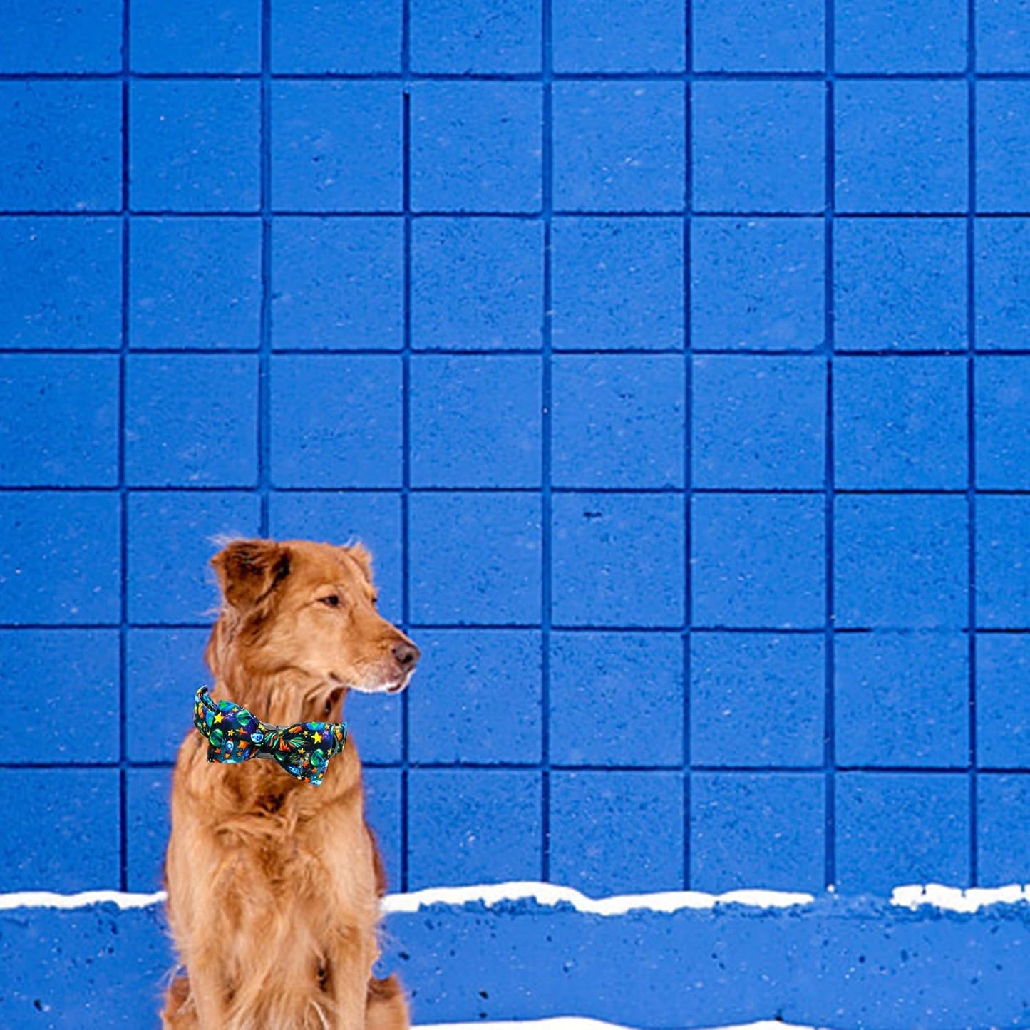 Elegant little tail Dog Collar, Boy Pet Collrs Blue Durable Soft Bowtie Dog Collar Adjustable Dog Collars for Small Medium Large Dogs