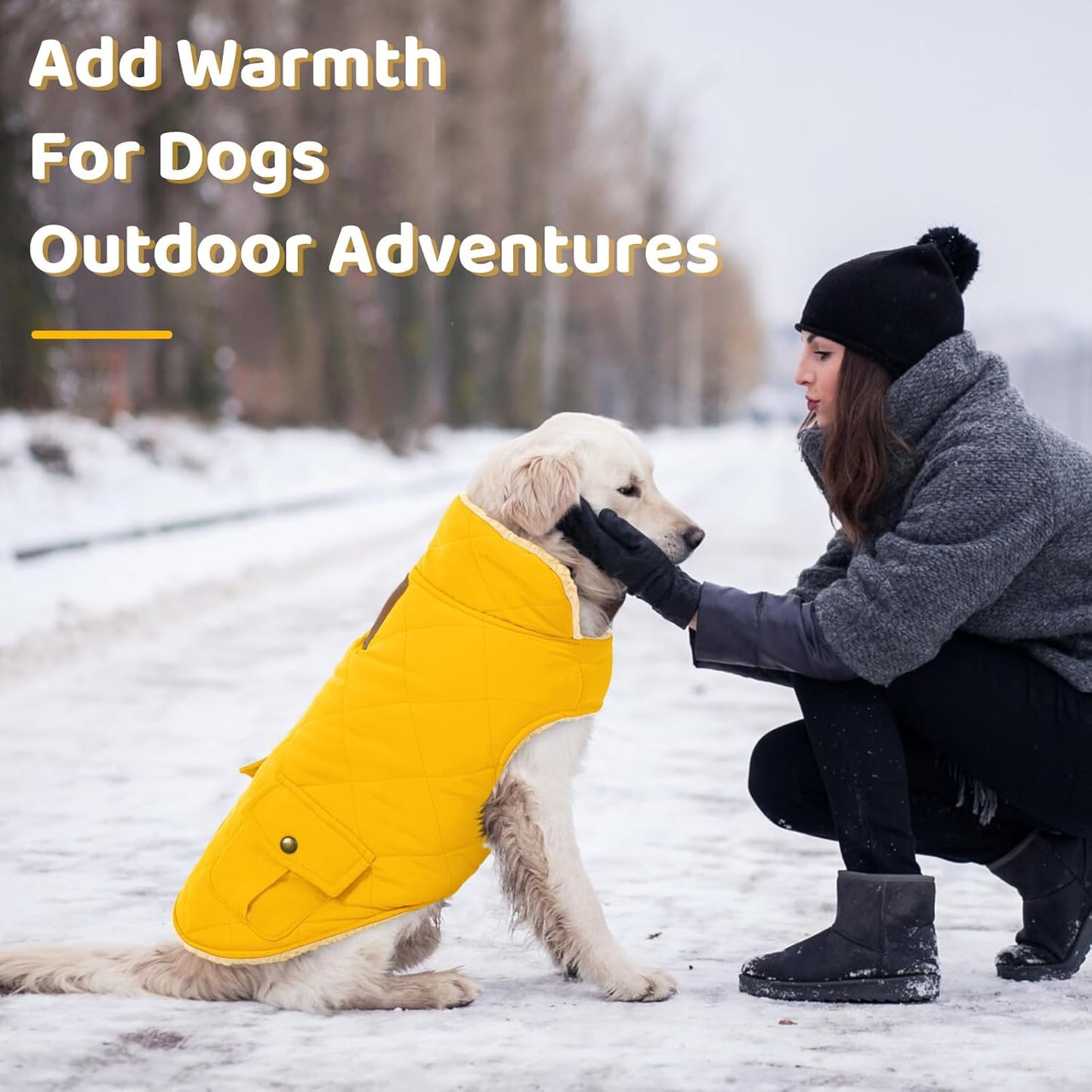 Queenmore Dog Winter Coat Warm Puffer Jacket Waterproof Plush Lining Thermal Cold Weather Vest for Small Medium Large Dogs, Windproof Easy On Pet Jacket Yellow M