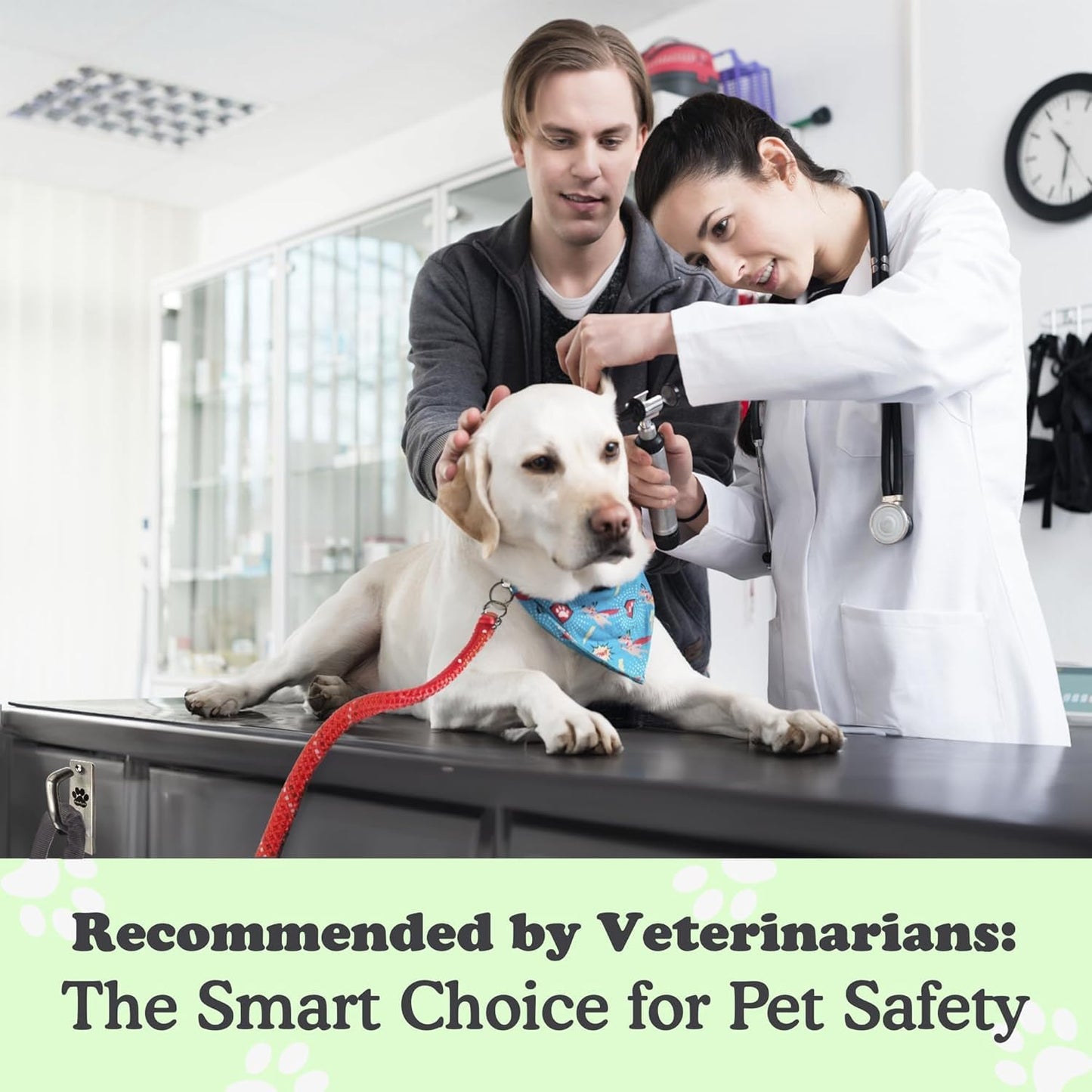 Canine Hitch- Secure Dog Leash Parking Mounted Indoor – Outdoor Wall Hook - Tie Out Stainless Steel Practical Lead Management for Home & Business, Slim Compact 2 Pack