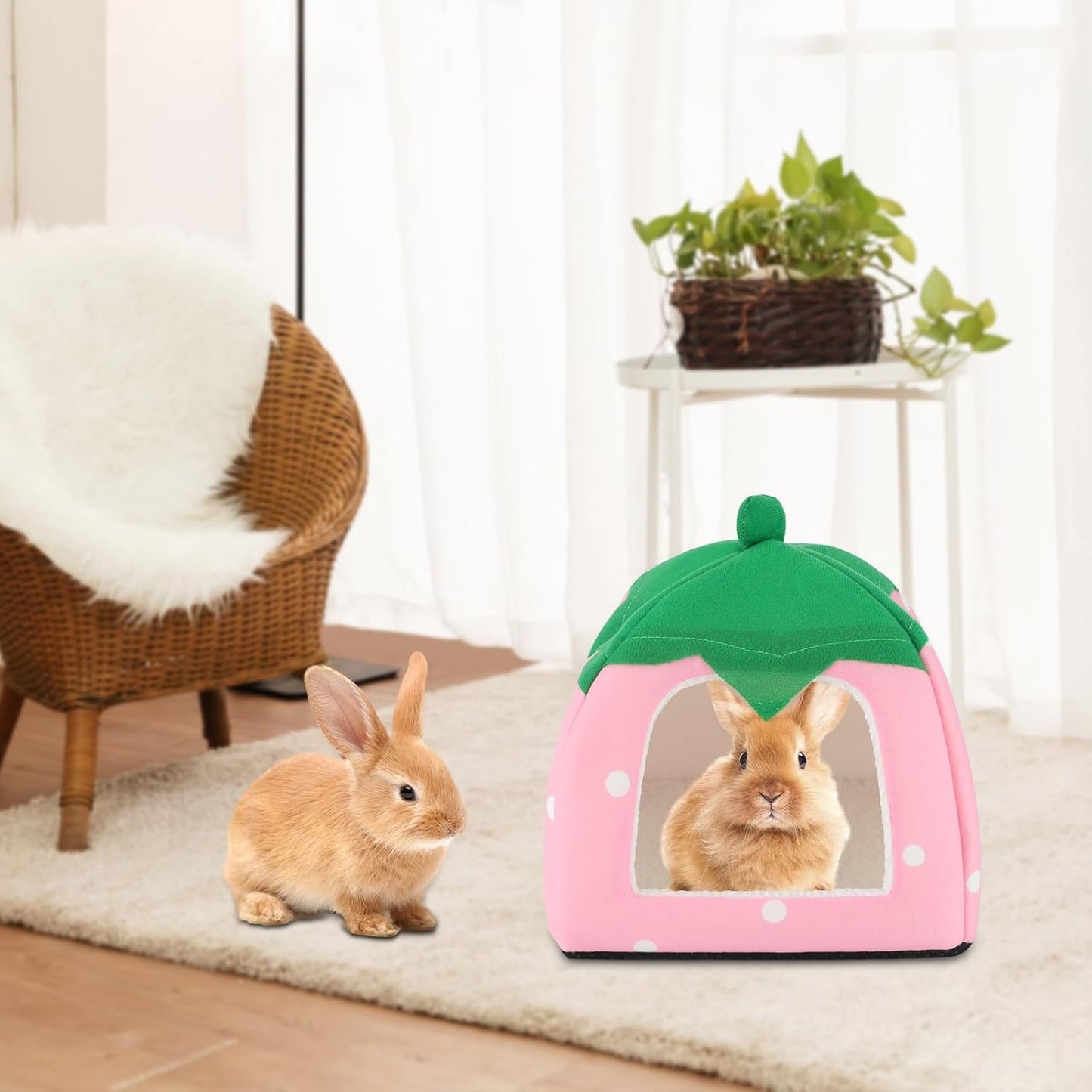 BWOGUE Guinea Pig House Bed Cozy Hamster Cave Large Hideout for Dwarf Rabbits Hedgehog Bearded Dragon Winter Nest Hamster Cage Accessories