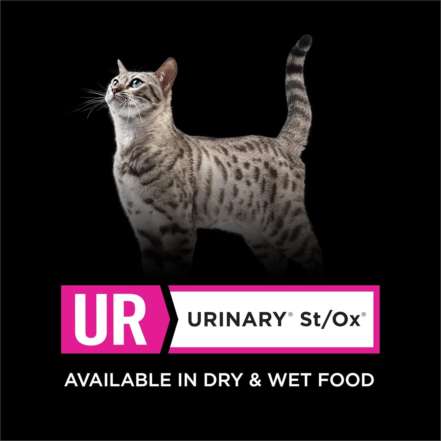 Pro Plan Veterinary Diets Purina UR Urinary St/Ox Feline Formula Dry Cat Food - 16 lb. Bag