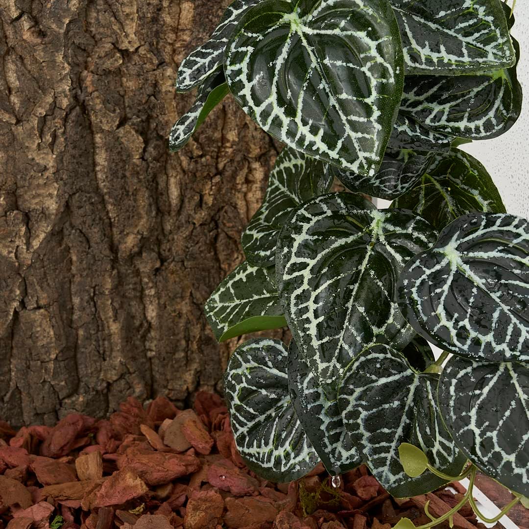 Reptile Plants for Terrarium, Amphibian Habitat Decor Artificial Hanging Plants with Suction Cup - Fake Anthurium Crystallinum