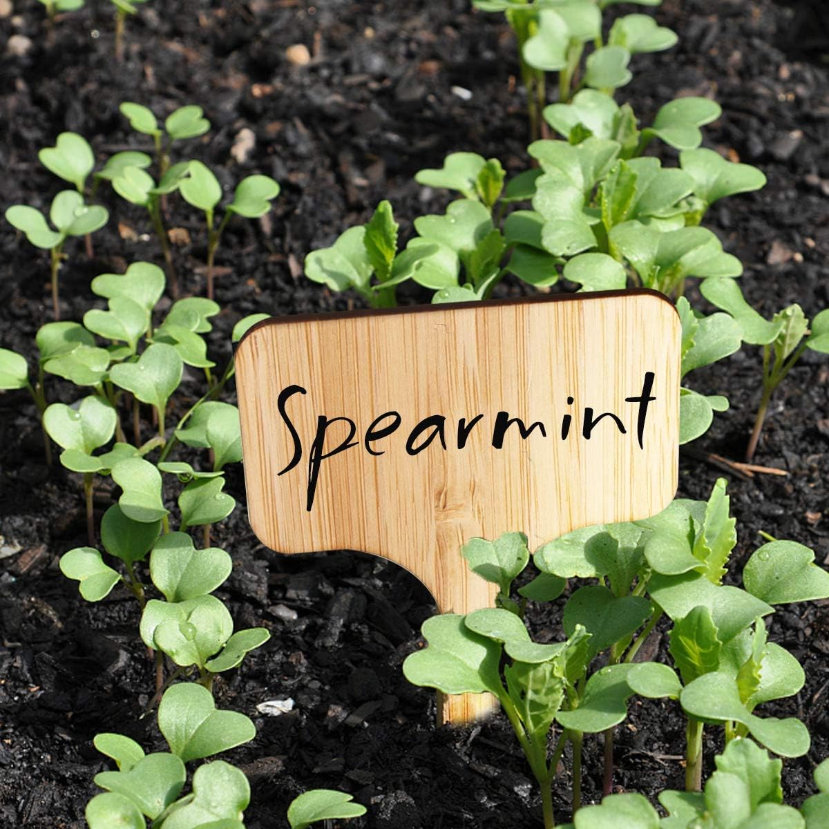 Homenote Bamboo Plant Labels 100Pcs Plant Tags for Seedlings T-Type Tags for Plants Outdoor Garden Markers Vegetable Seedling(2.36 * 4“