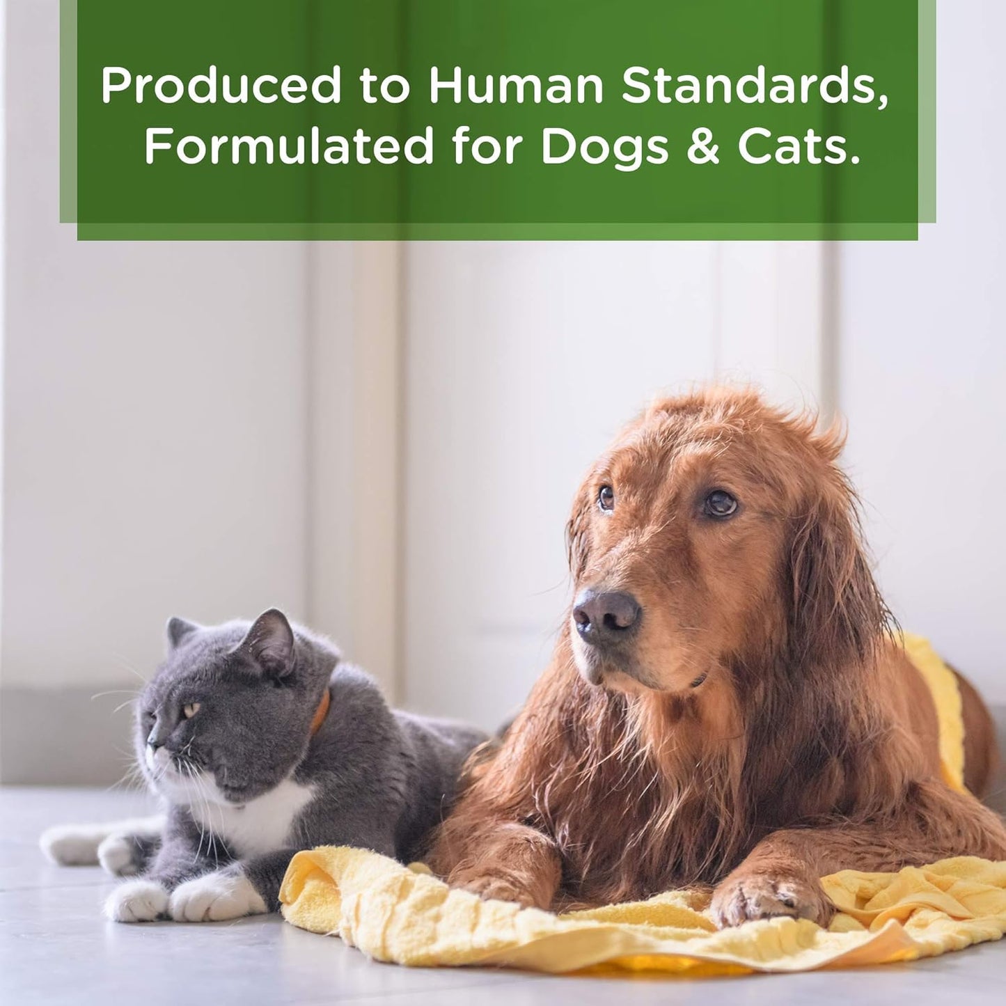 Lillian Ruff Calming Oatmeal Pet Shampoo for Dry Skin & Itch Relief with Aloe & Hydrating Essential Oils - Replenish Moisture & Deodorize -Gentle Dog Shampoo for Normal/Sensitive Skin (Gallon & Pump)