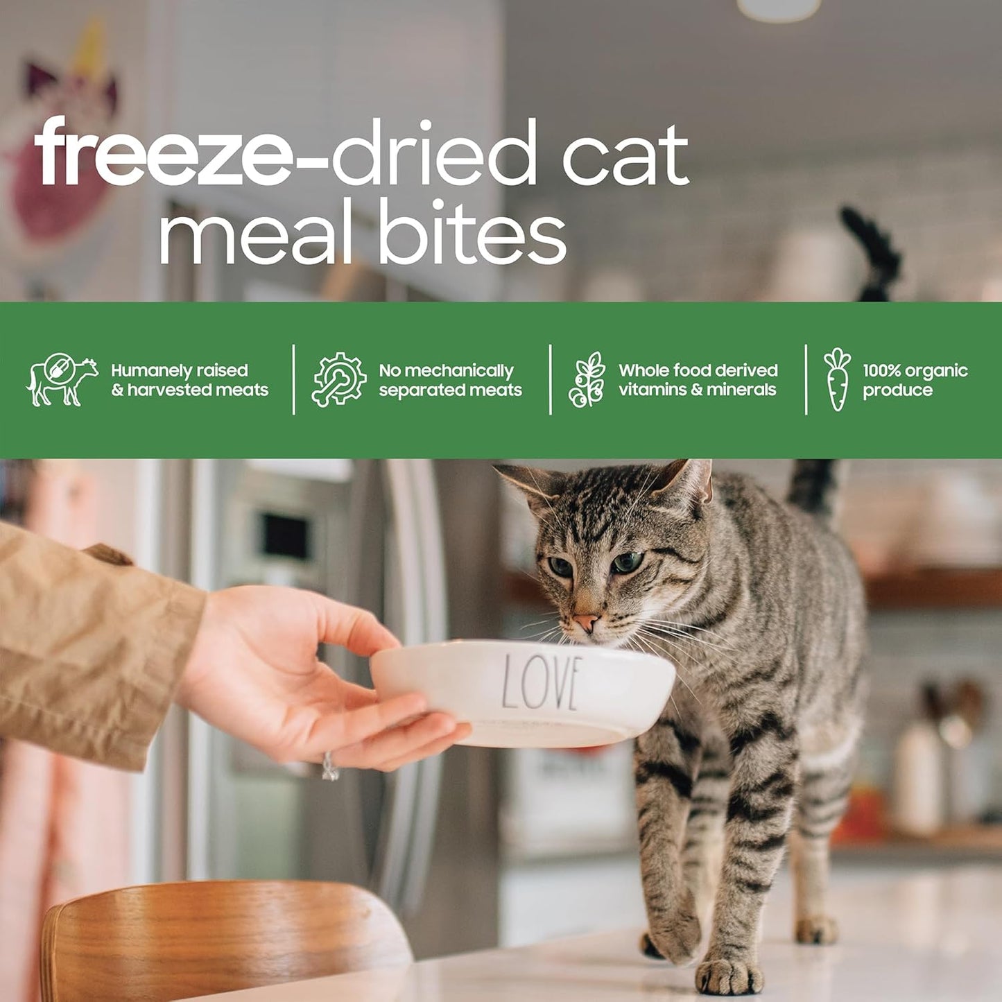 smallbatch Pets Freeze Dried Cat Treats, Raw Dry Cat Food Bites, Chicken Recipe, High Protein Food Topper or Training Treats for Cats, Humanely Sourced Meat, Made in The USA, Non GMO, 10 oz Bag