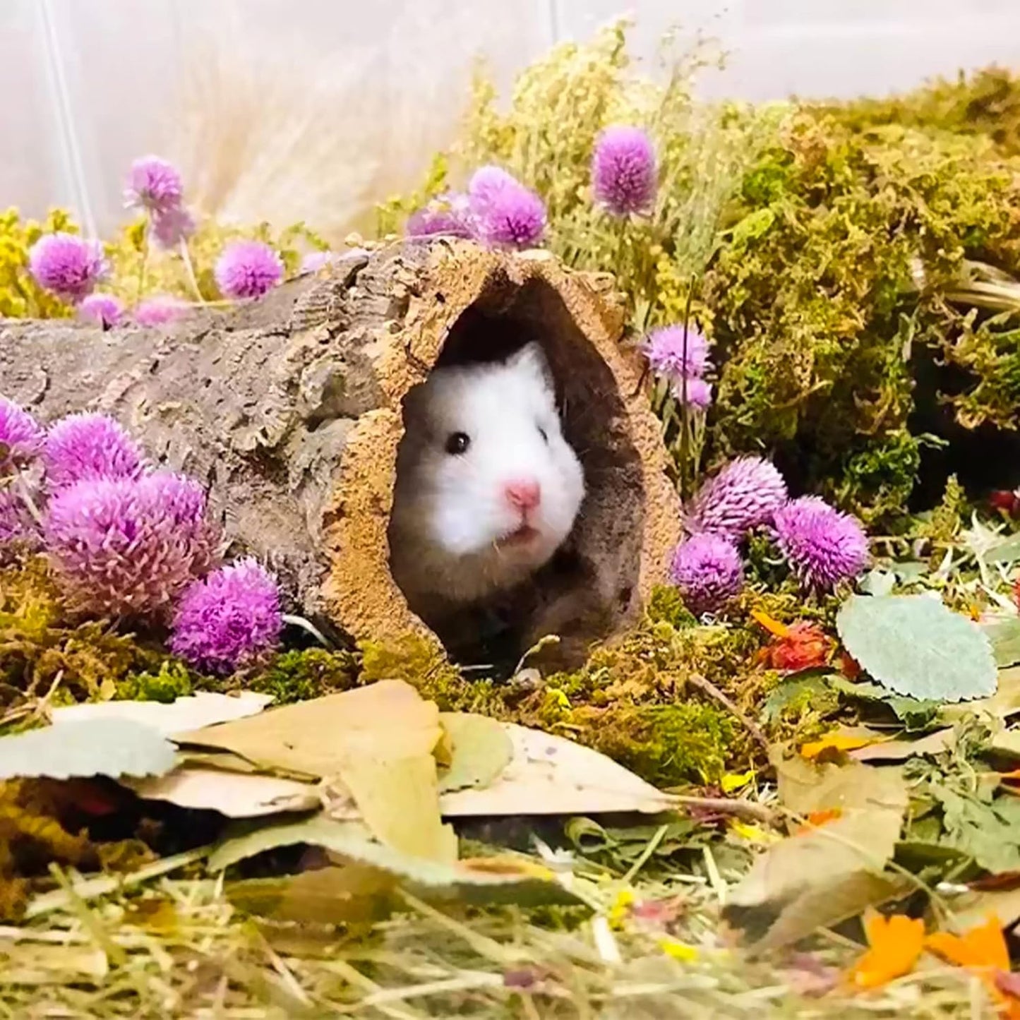 Natural Ear of Grain Flower&Herb Bedding Mate Habitat Decor, Adding Fun Hamster Accessories for Hamsters Gerbils Lemming