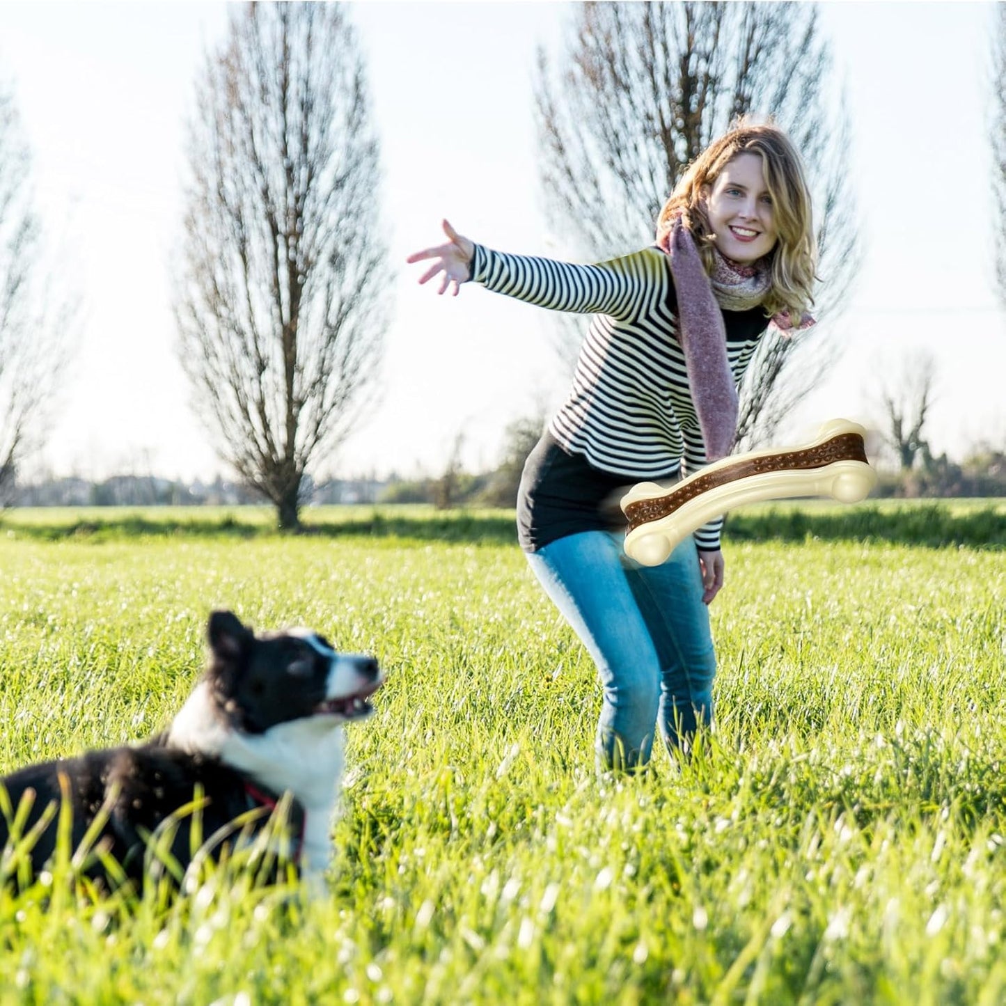 Sosation 6 Pcs Dog Toys for Aggressive Chewers Nylon Beef Flavor Bones Tough Puppy Teething Toys Puppy Chew Bones for Large Medium Small Breed Dogs Puppies Pets Chew Toys(Small)