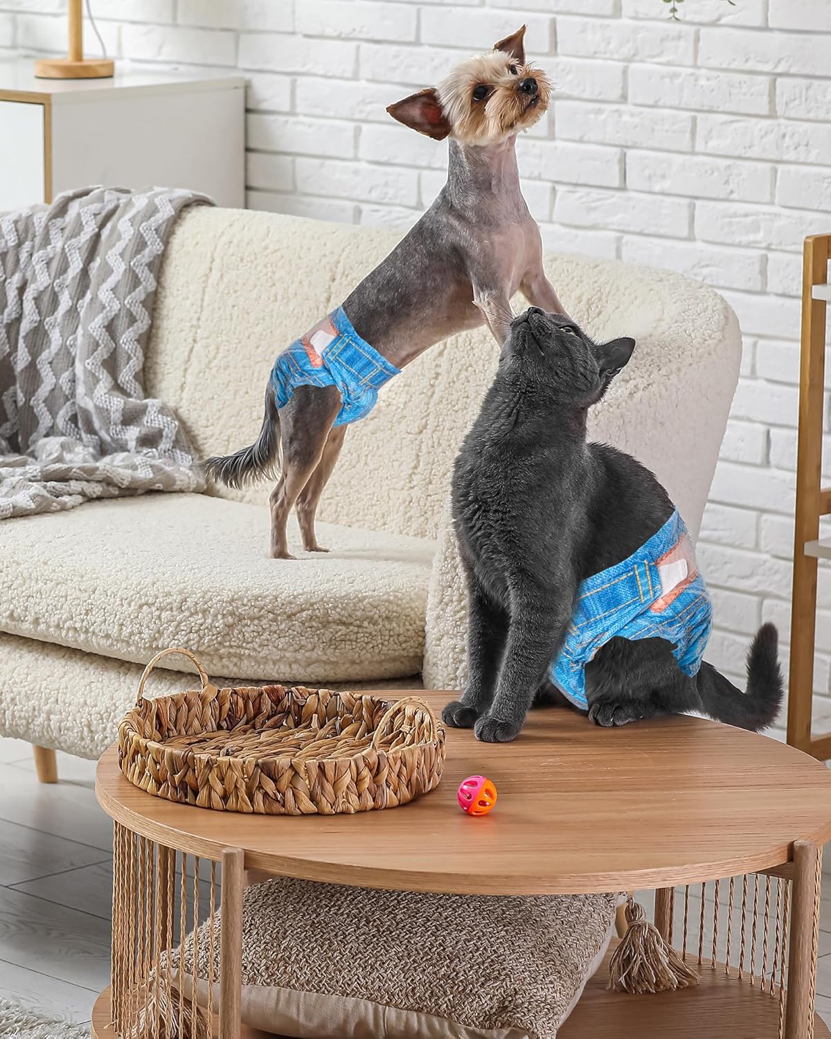 Pet Soft Dog Diapers Female, Disposable Dog Diapers, Cat Diaper for Female Cats, Puppy Diaper 48pcs XSmall