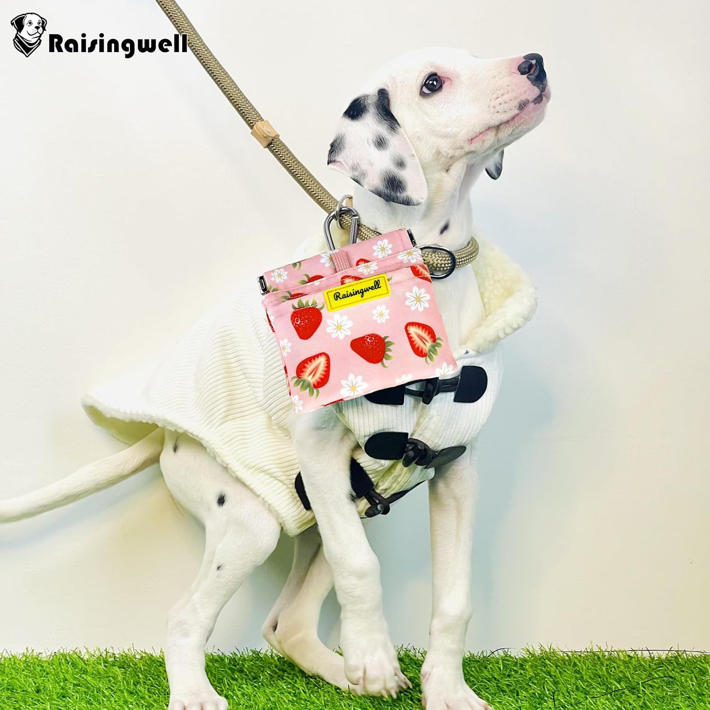 Dog Treat Pouch,Cotton Pocket Sized Training Holder, Hand Free Walking Funny Bag with Carabiner, Self-Closing Pet Feed Snack Reward, Behavior Aids for Puppy Travel or Outdoor Use(Strawberry)