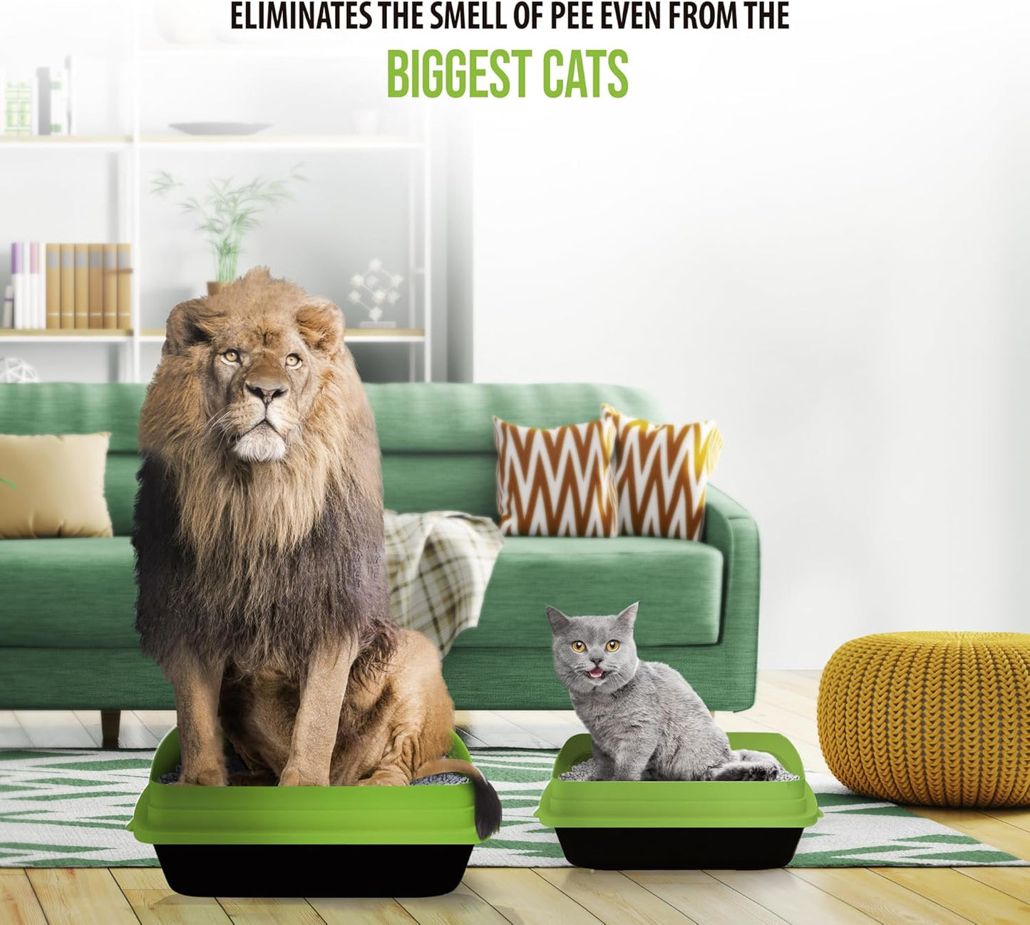 Skoon All Natural Cat Litter (3 Bags) - Original - Lightweight, Low Tracking, Non-Clumping Diatom Pebbles Absorb, Lock, and Seal Waste for Best Odor Control