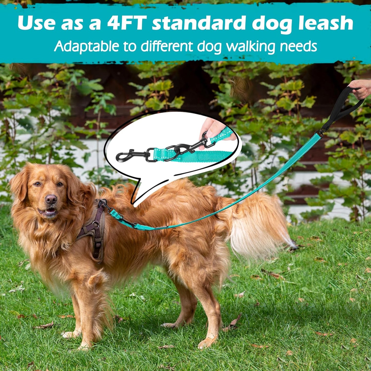 PetBonus Two Point Control Dog Leash, Works with No Pull Harnesses, No Tangle Dog Training Leashes, No Pull Padded and Reflective Walking Lead,Converts to Single Leash for Medium Large Dogs(Turquoise)