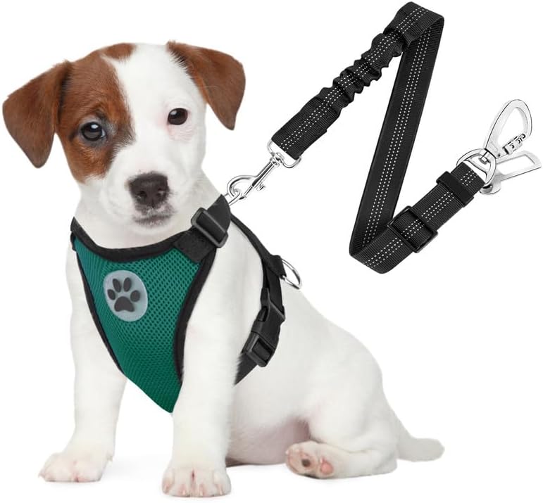 SlowTon Dog Seat Belt Harness for Car, Dog Car Harness Adjustable Mesh Breathable & Dog Seatbelt Safety Tether with Elastic Bungee for Small Medium Large Pets(Green, Double Clip, S)