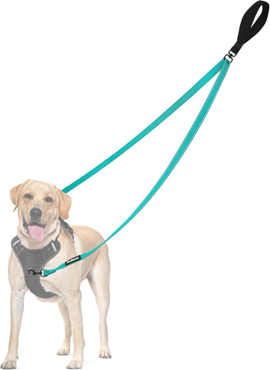 PetBonus Two Point Control Dog Leash, Works with No Pull Harnesses, No Tangle Dog Training Leashes, No Pull Padded and Reflective Walking Lead,Converts to Single Leash for Medium Large Dogs(Turquoise)