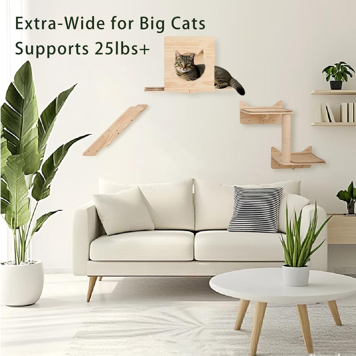 KVIDA Cat Wall Shelves Set – 5PCS Extra-Large Wall Mounted Cat Furniture with 2 Platforms, Sisal Scratching Post & Cat House – Solid Wood Climbing Wall for Large Indoor Cats