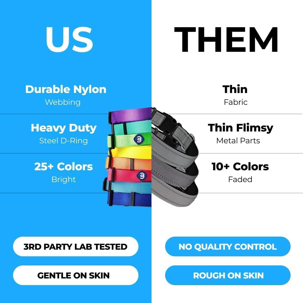 Blueberry Pet Essentials X-Small Dog Collar in Turquoise | Adjustable & Eco-Friendly Durable Nylon Strap | Classic Collar for X-Small Dogs, Boy & Girl Pets