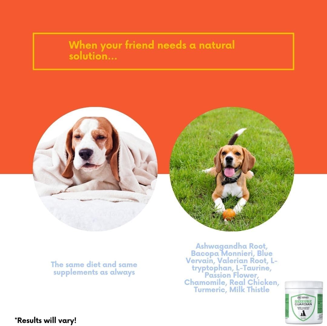 Nervous System Support and Calming Aid for Dogs & Cats – Natural Relaxation Aid from an American Company with Ashwagandha, Chamomile, Valerian & More, 170g