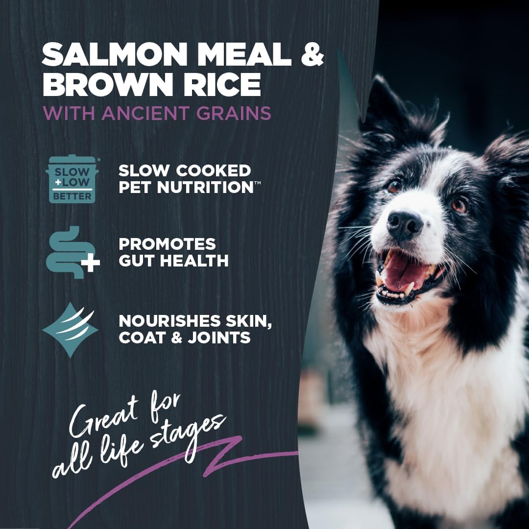 Blackwood Sensitive Skin & Stomach Dry Dog Food, Salmon Meal & Brown Rice with Ancient Grains, 4.5 Pound Bag with Prebiotics & Probiotics to Promote Gut Health