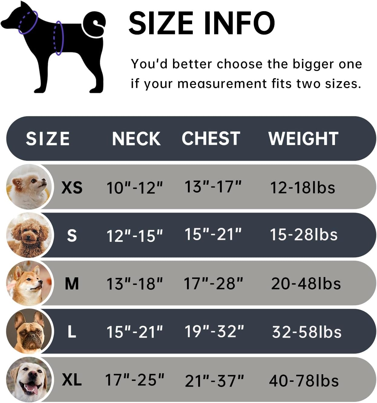 IVY&LANE No Pull Dog Harness for Medium Dogs, Dog Vest Harness with Leash, Safety Belt and Storage Strap, Fully Adjustable Harness, 360° Reflective Strip, Soft Handle (Black, M)