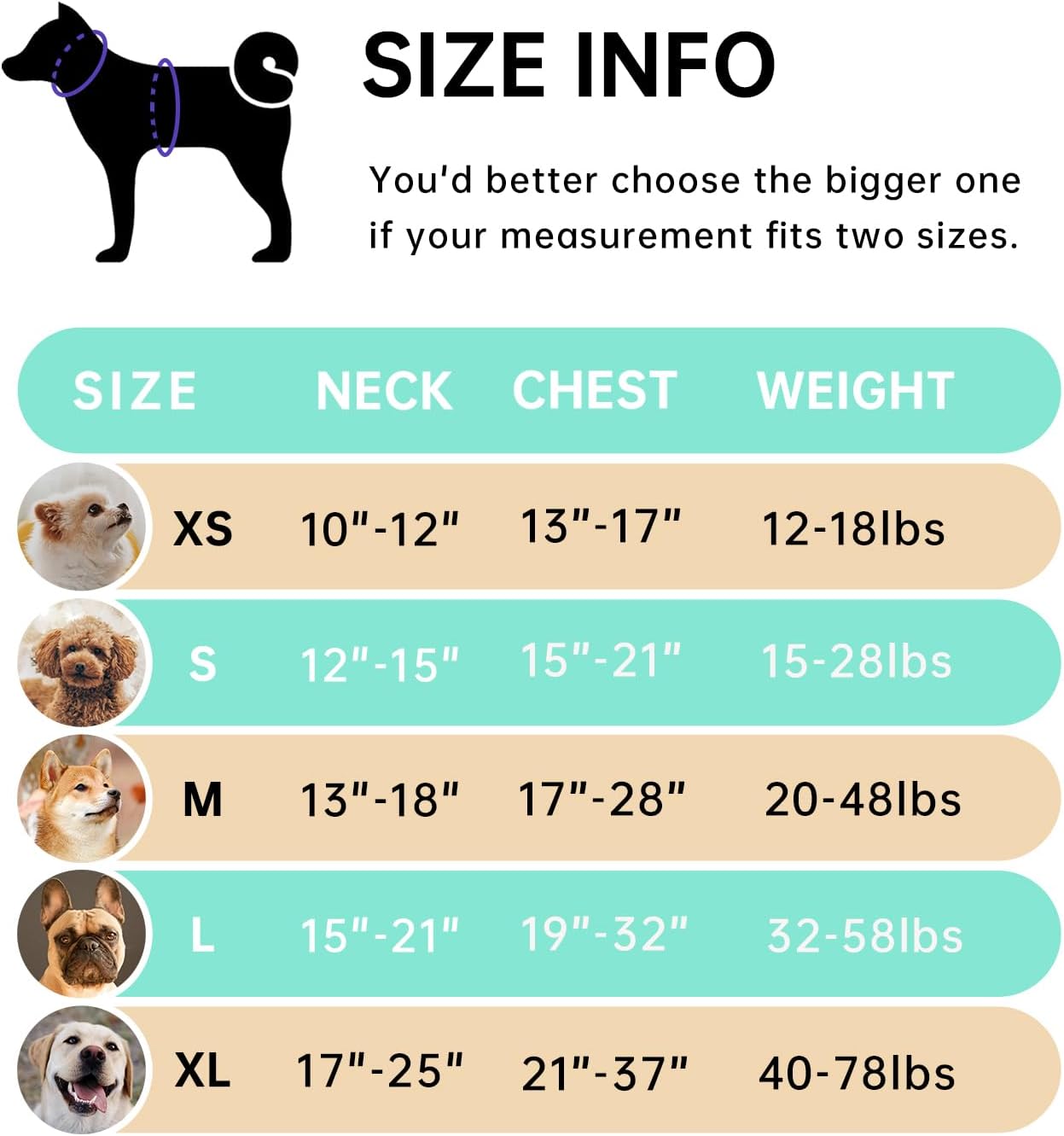 IVY&LANE No Pull Dog Harness with Leash Set, Reflective No Choke Pet Vest,Adjustable Oxford Dog Vest Harness with Easy Control Handle for Large Dogs (Turquoise,XL)