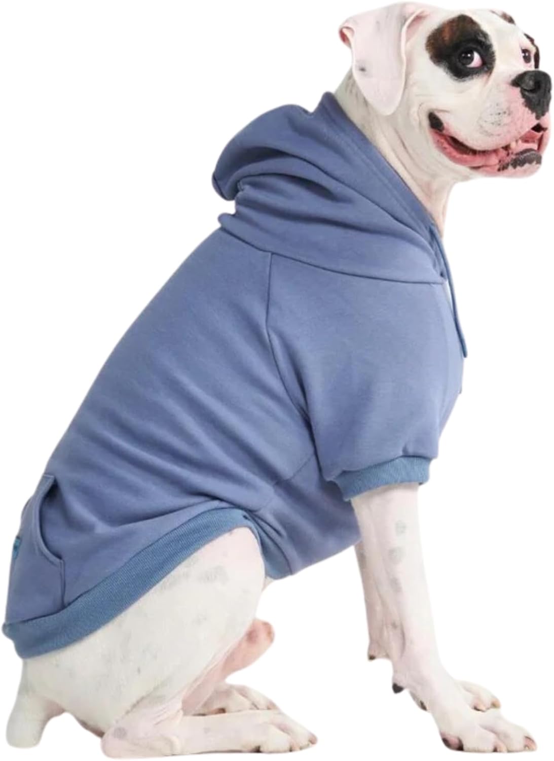 Spark Paws Dog Hoodie – Premium Dog Sweater for Small, Medium, and Large Dogs | Warm Outfits for French Bulldogs, Pitbull, Puppy, Winter Jacket Alternative - Slate Blue - 4XL