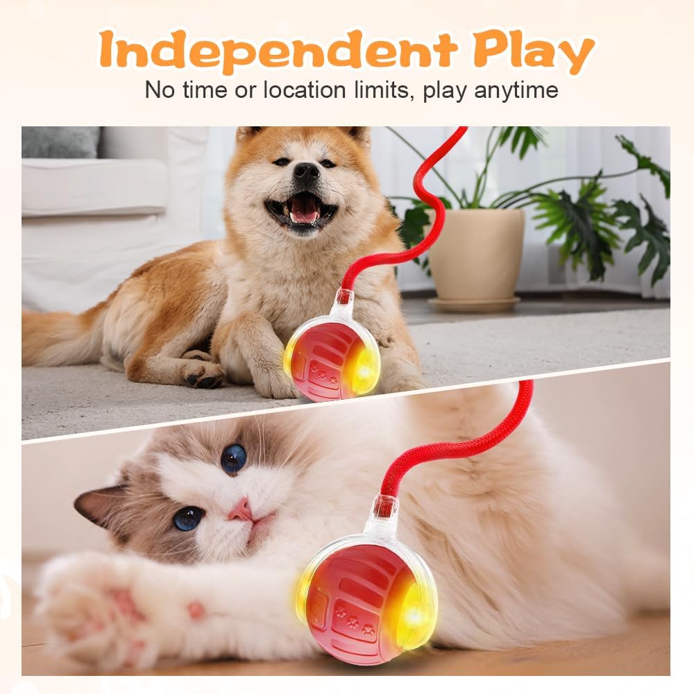 2026 New Interactive Pet Toy Ball, Smart Interactive Toy Ball for Cats & Dogs, Electric Rolling Pet Toy Ball, Rechargeable Interactive Cat Toys for Bored Indoor Cats Kittens to Keep Busy (Red)