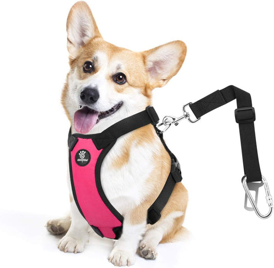 Dog Seat Belt, Safety Vest Dog Car Harness with Adjustable Buckle Dog Seat Belt for Vehicle Nylon Pet Safety Seat Belts Heavy Duty(M, Magenta)