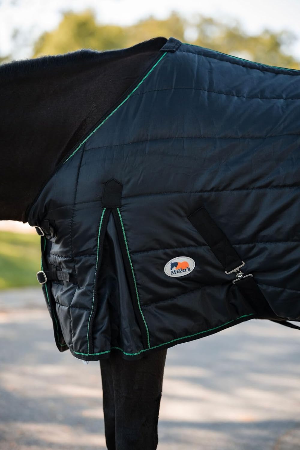 Miller's Medium Weight Stable Blanket 200 GSM Polyfill with Cotton Lining-Black-65