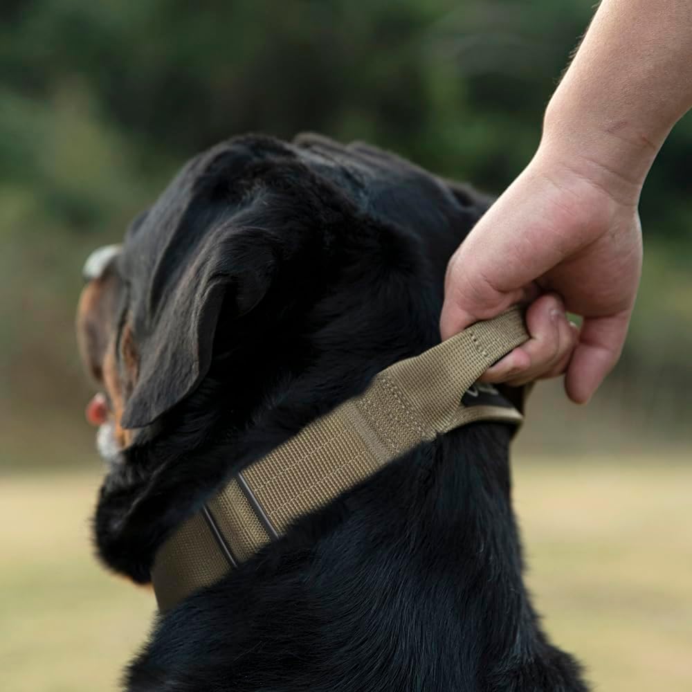 TSPRO Premium Dog Collars Tactical Dog Collar with Handle and Heavy Duty Quick-Release Metal Buckle Durable Thick and Adjustable for Medium to Large Dogs (Gradient Multi-Colored M)