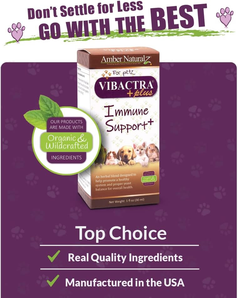 Amber NaturalZ Vibactra Plus Herbal Supplement for Dogs, Cats, Birds, Guinea Pigs, and Rabbits | Herbs for Immune Health and Yeast Balance | 1 Fluid Ounce Glass Bottle