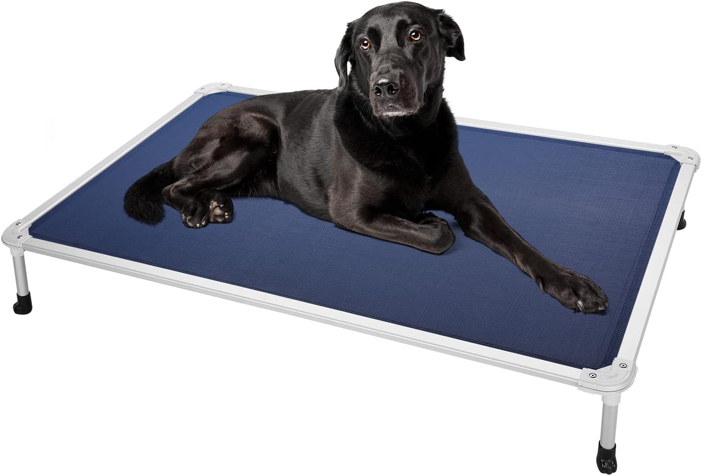 Veehoo Chew Proof Elevated Dog Bed - Cooling Raised Pet Cot - Silver Aluminum Frame and Durable Textilene Mesh Fabric, Unique Designed No-Slip Feet for Indoor or Outdoor Use, Blue, X-Large, CWC2003