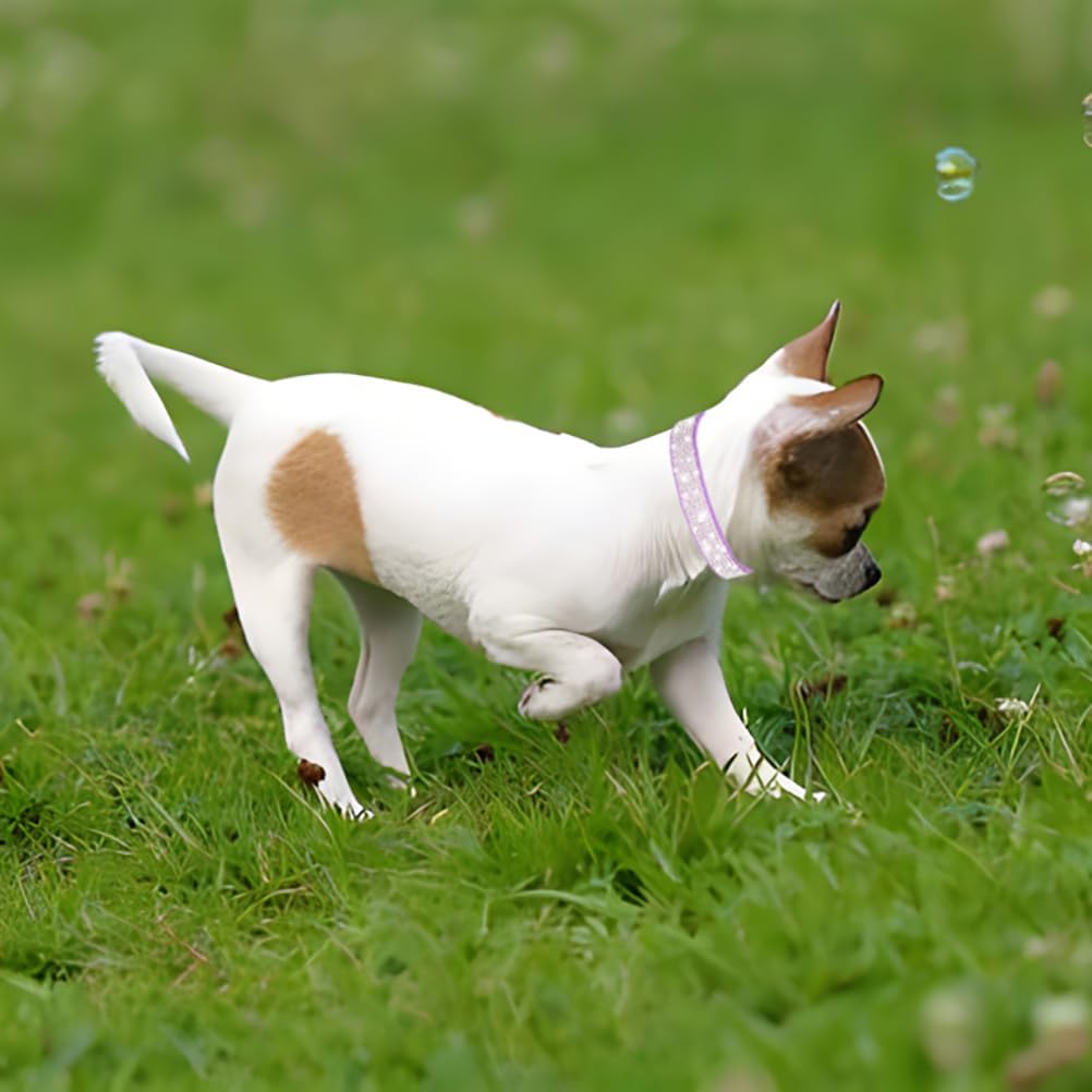 Rhinestone Dog Collar for Small Dogs, Bling Diamond Fancy Crystal Glitter Pretty Jewel Pet Puppy Collars for XXS XS Small Medium Large Breed Girl Dogs Female Cats Kitten, Hot Pink M