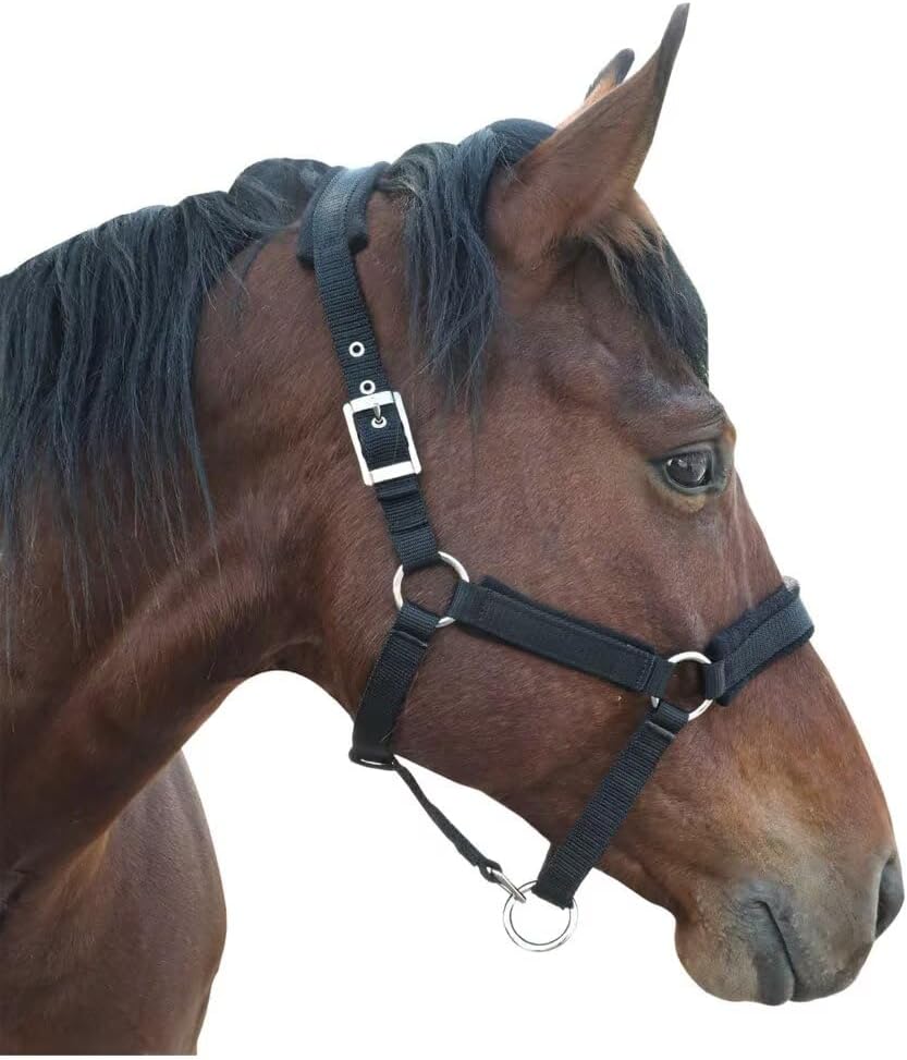 Horse Halter with Wool Lining, Adjustable Halter for Horses Satin Hardware to Prevent Friction, Breakaway Halters for Horses,Perfect for Traction and Performance