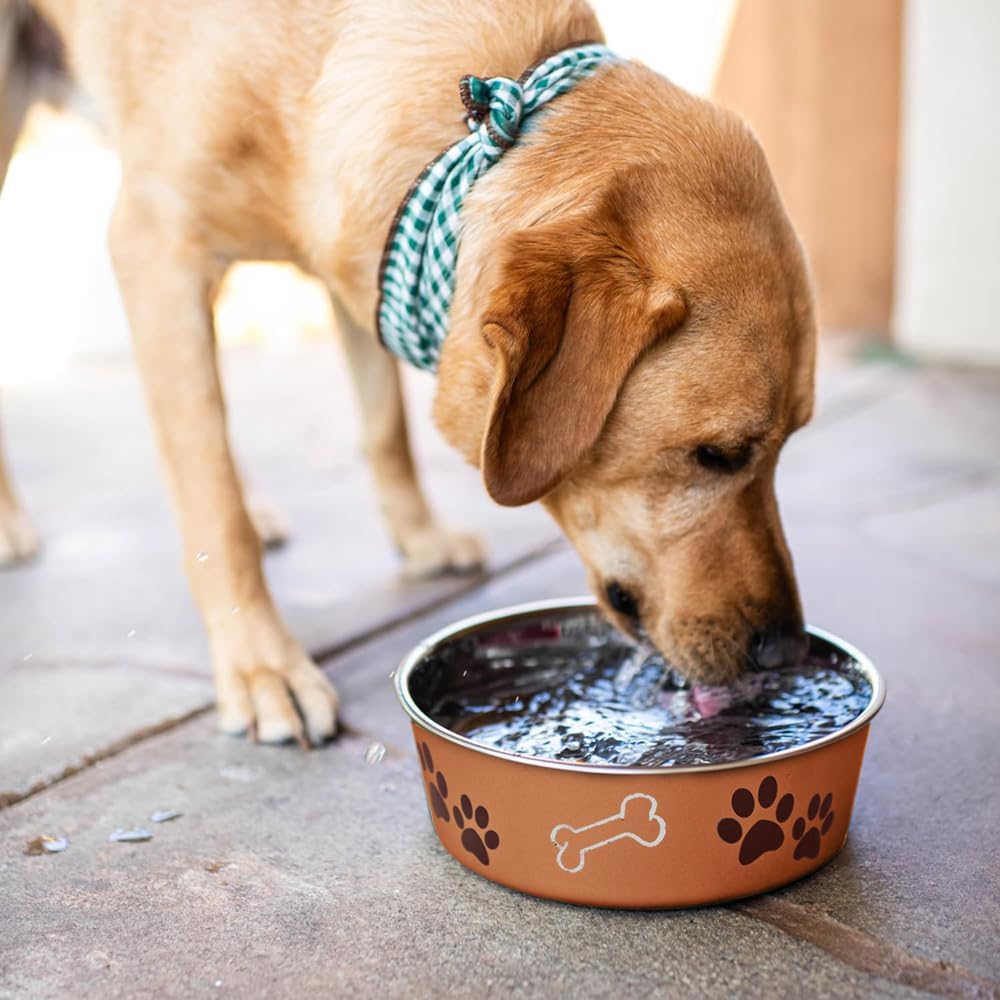 Loving Pets - Bella Bowls - Dog Food Water Bowl No Tip Stainless Steel Pet Bowl No Skid Spill Proof (Medium, Copper)