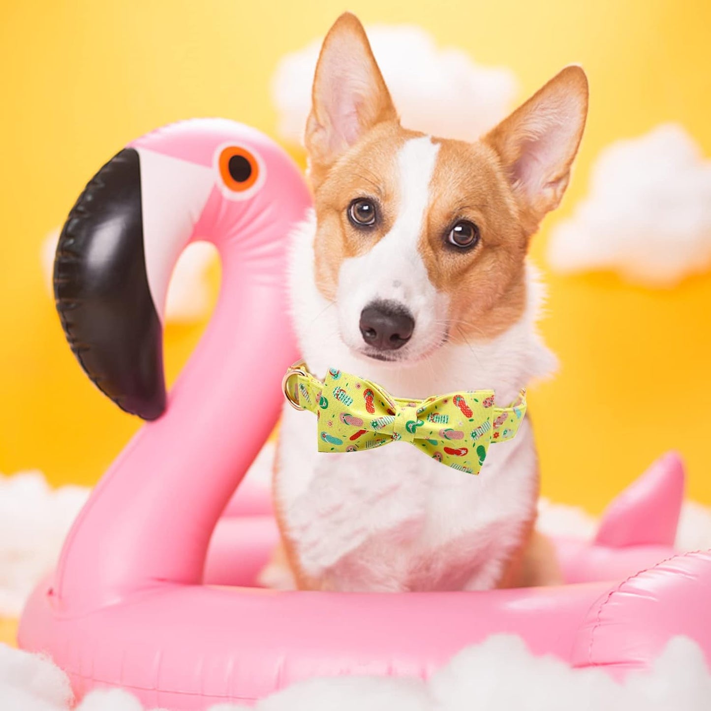 Elegant Little Tail Bowtie Dog Collar for Small to Large Dogs