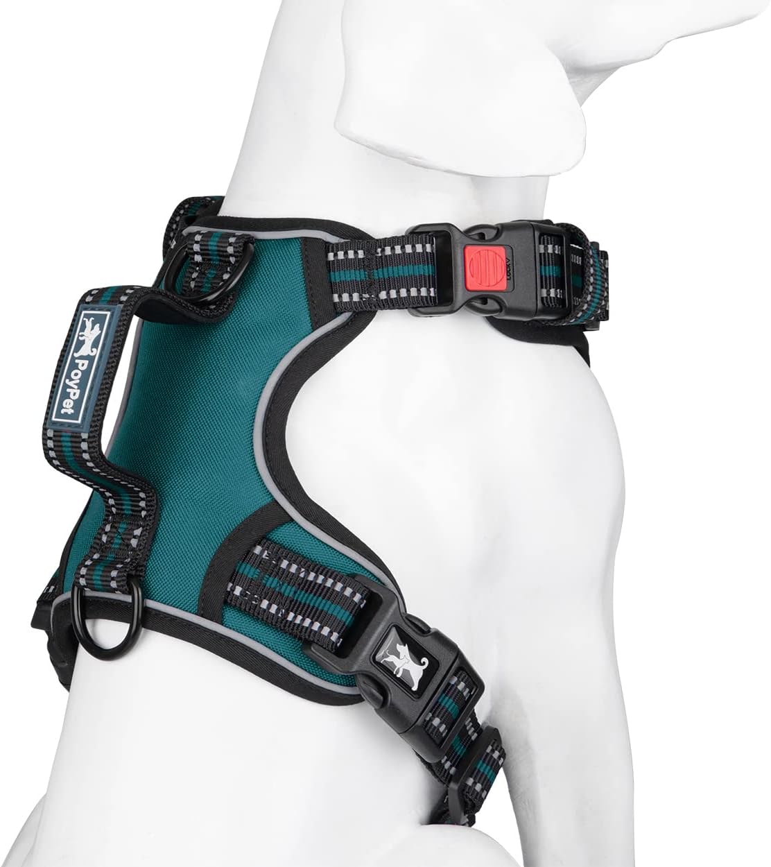 PoyPet No Pull Dog Harness, No Choke Front Clip Reflective Dog Vest with Soft Padded Vertical Handle, 3 Leash Attachments for Small Medium Large Dogs (Tumalo Teal,S)