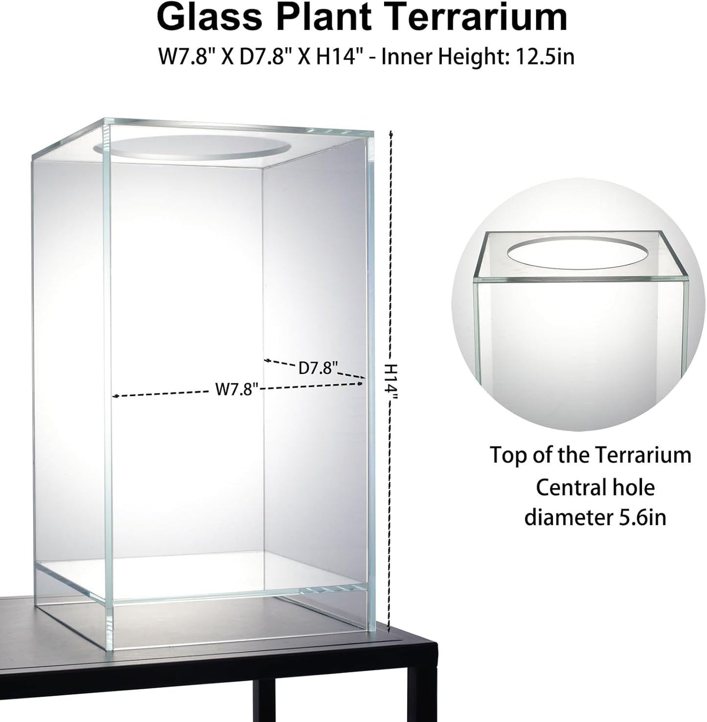 Desktop Glass Plant Terrarium with Grow Light(L7.8 W7.8 H14), for Succulent, Moss, Miniature Gardening Landscape, Betta Fish Tank, Indoor Plant Growth, Office Home Decoration (TimeControlled)
