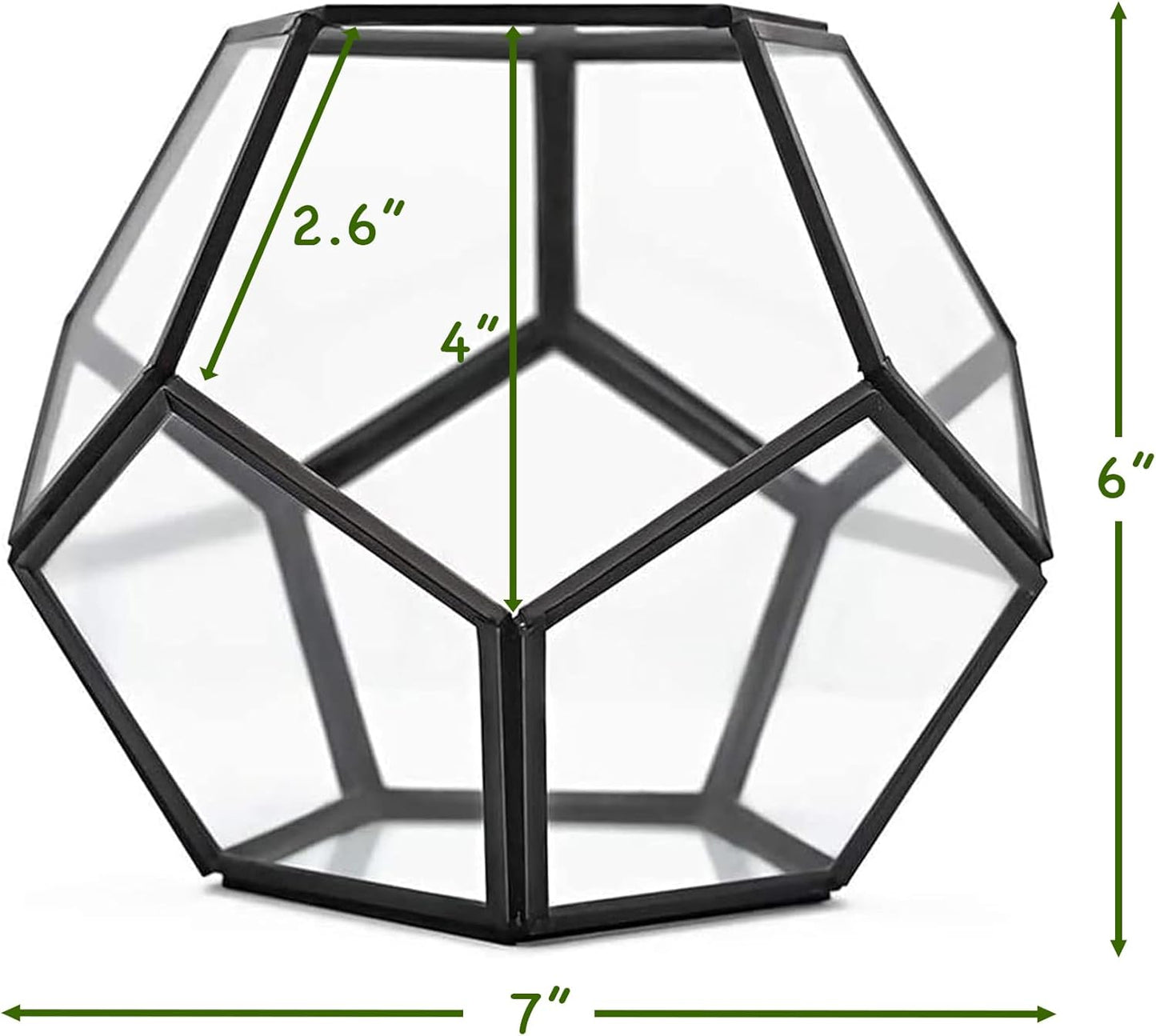 Cute Farms Glass Terrarium Kit | Just Add Your Own Plants (Geometric Glass)
